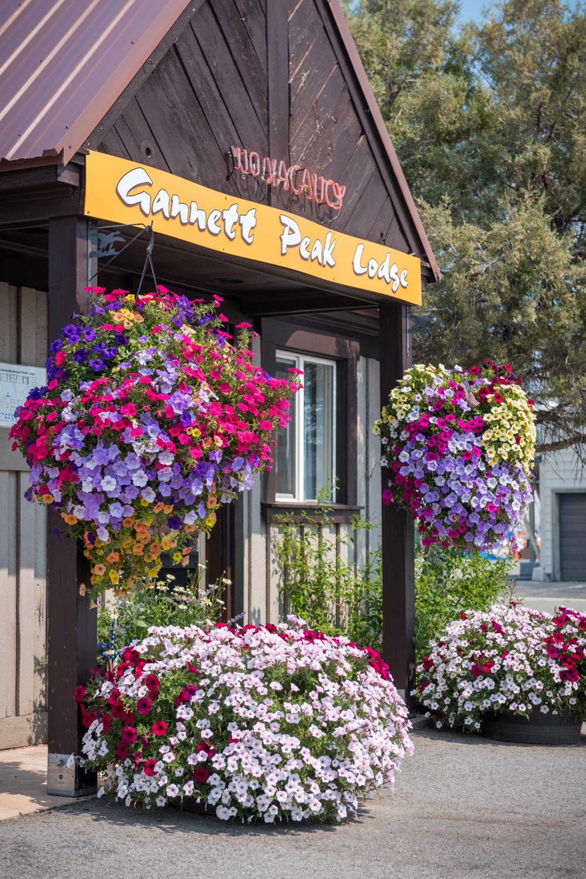 Gannett Peak Lodge
