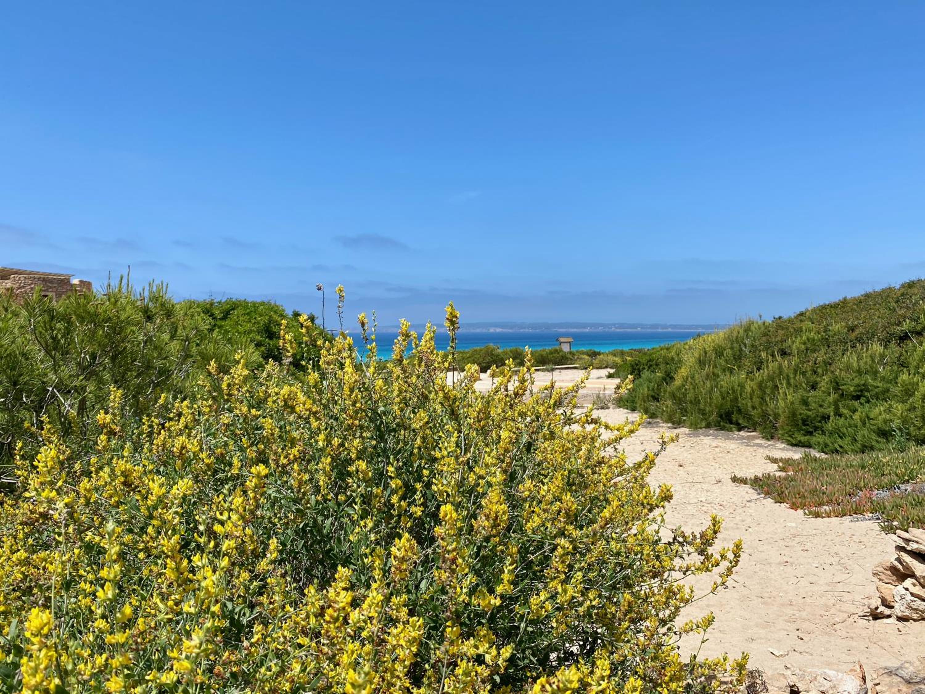 Casa Stefi - Astbury Formentera view 5