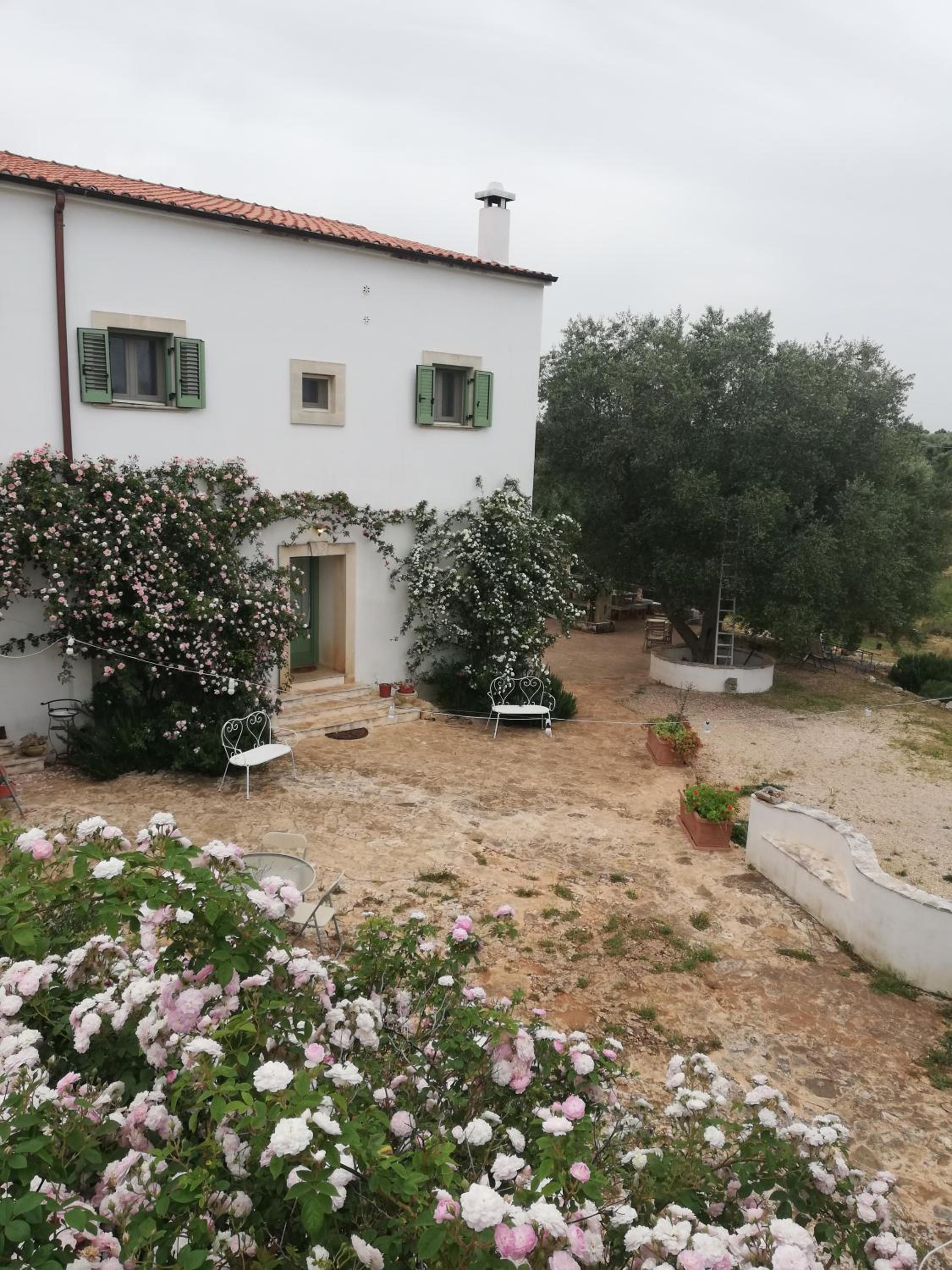 Photo 175