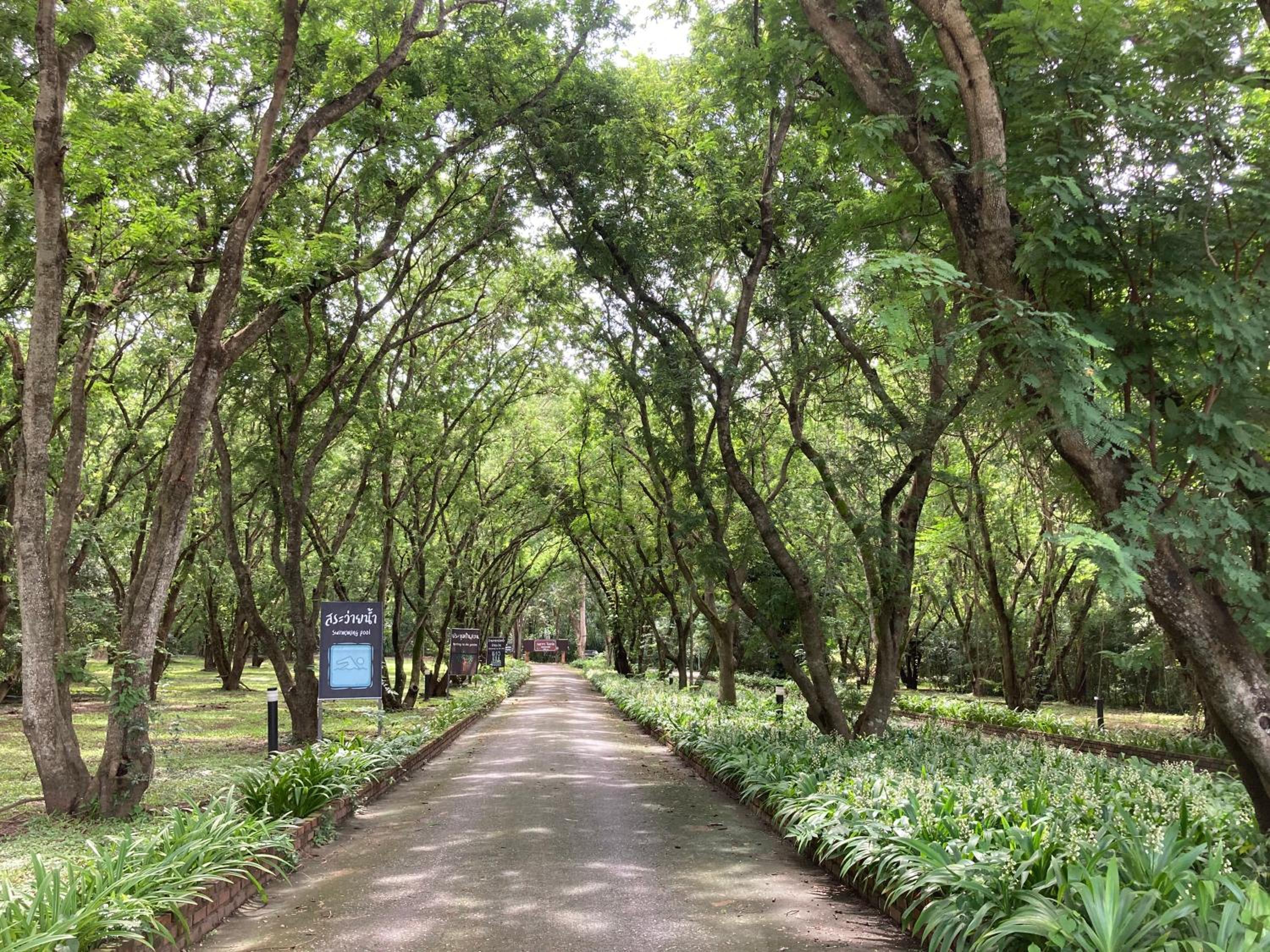 Wanathara Resort