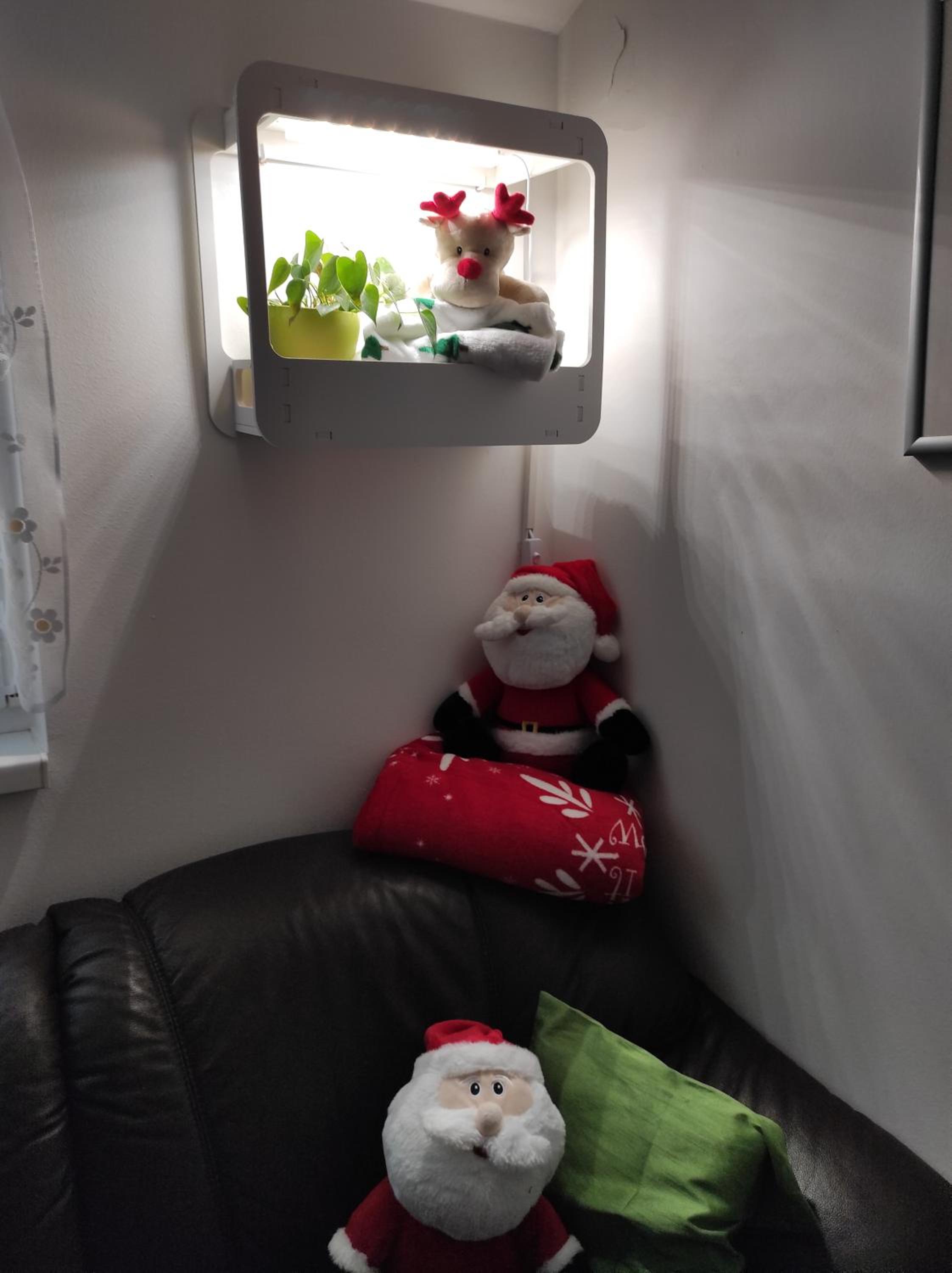 Apartman Izabela 5G