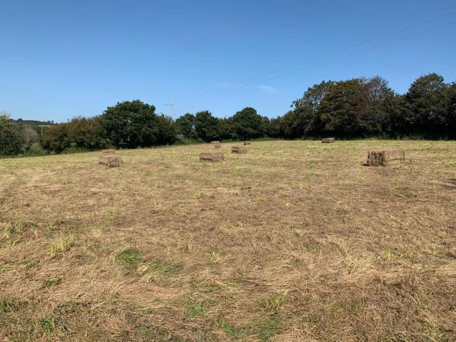 Yelverton Vacations - Detached Barn in Tamar Valley, EV charging included - Property Image 10