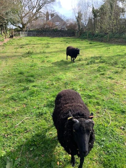 Yelverton Vacations - Detached Barn in Tamar Valley, EV charging included - Property Image 7