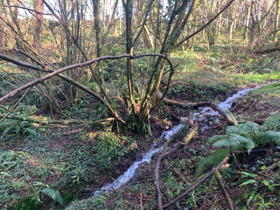 Yelverton Vacations - Detached Barn in Tamar Valley, EV charging included - Property Image 6