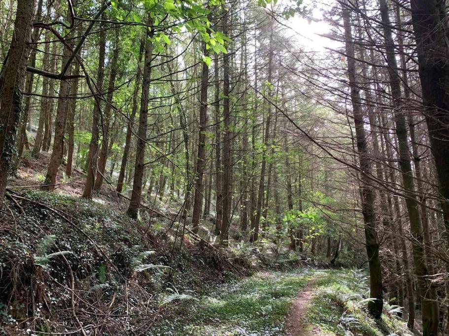 Yelverton Vacations - Detached Barn in Tamar Valley, EV charging included - Property Image 4