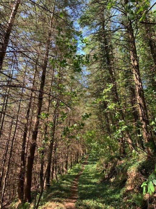 Yelverton Vacations - Detached Barn in Tamar Valley, EV charging included - Property Image 3