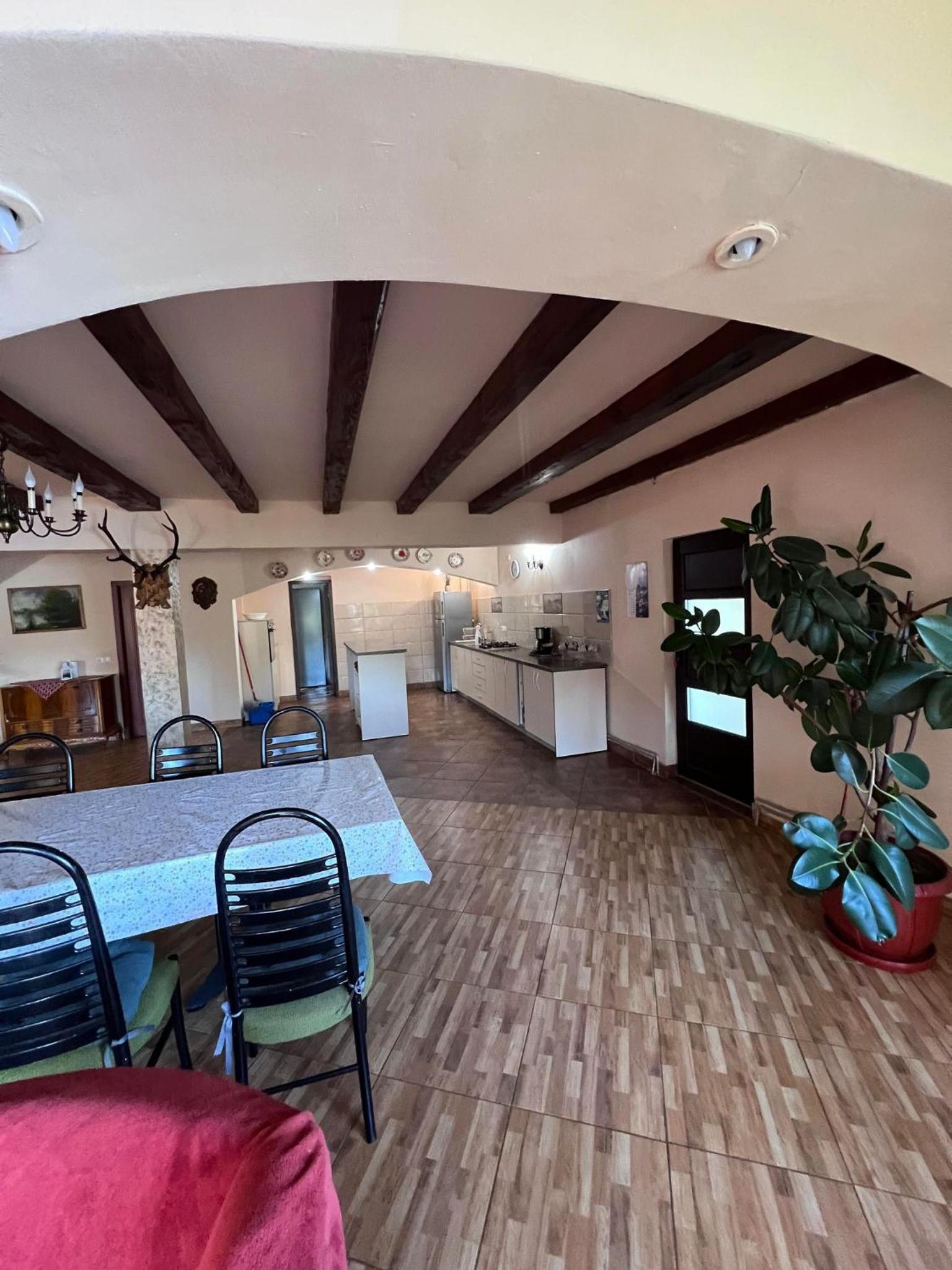 Casa Iris Colibita view 4