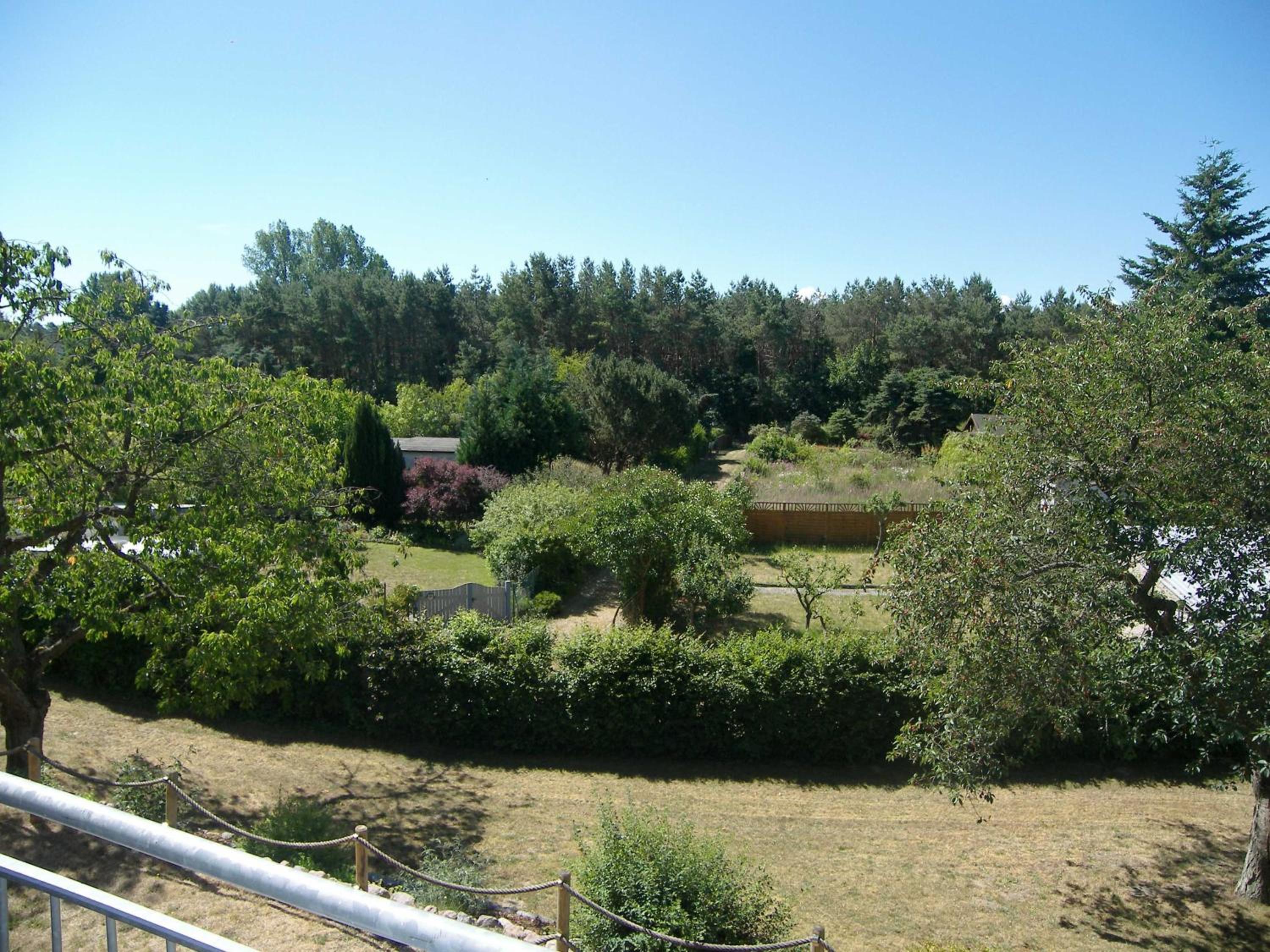Photo 29