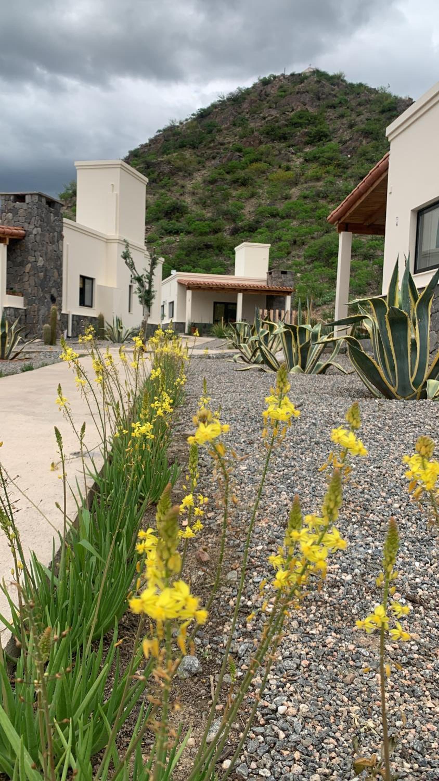 Complejo Los Olivos