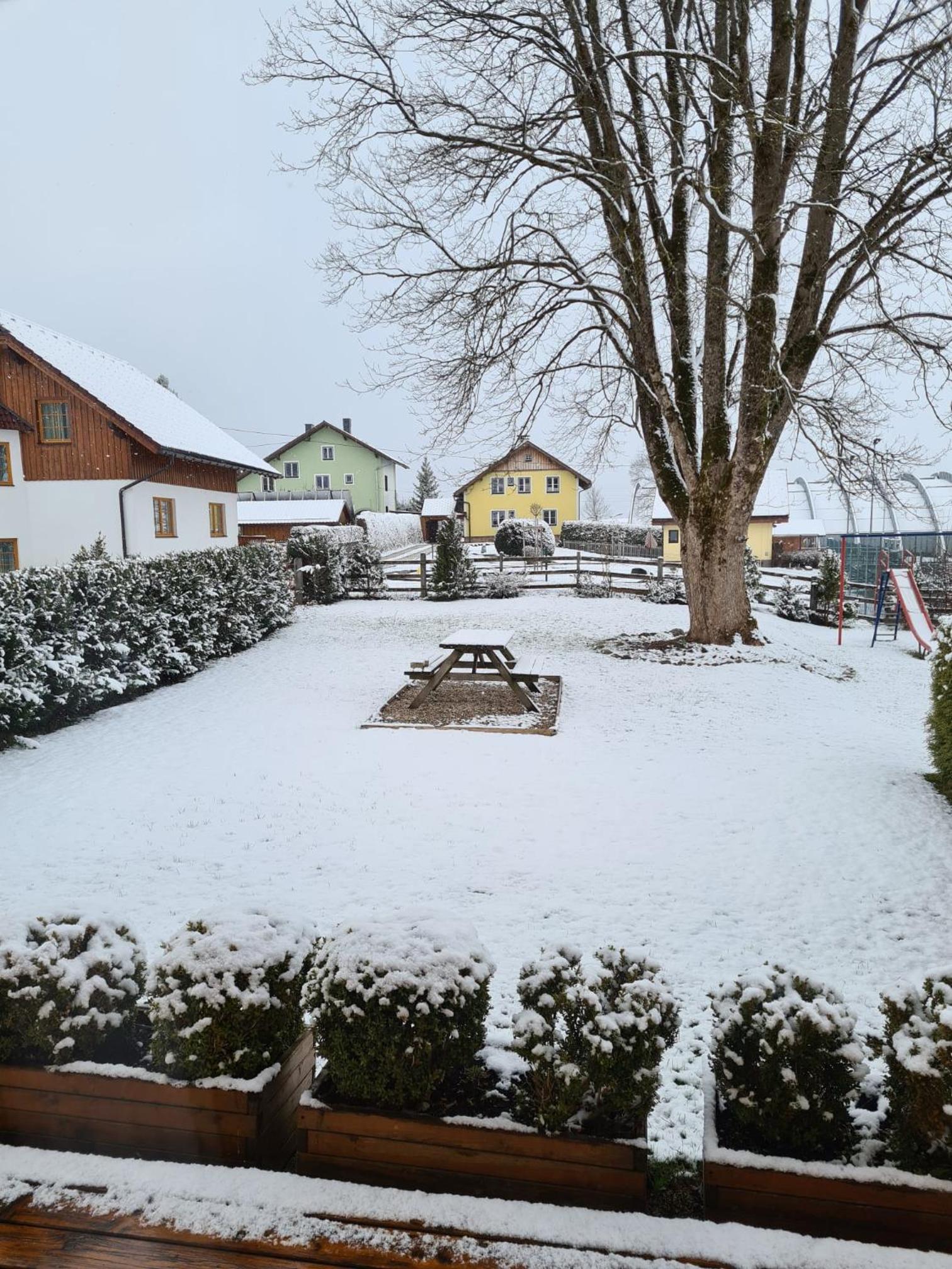 Alter Kindergarten vakantieappartementen