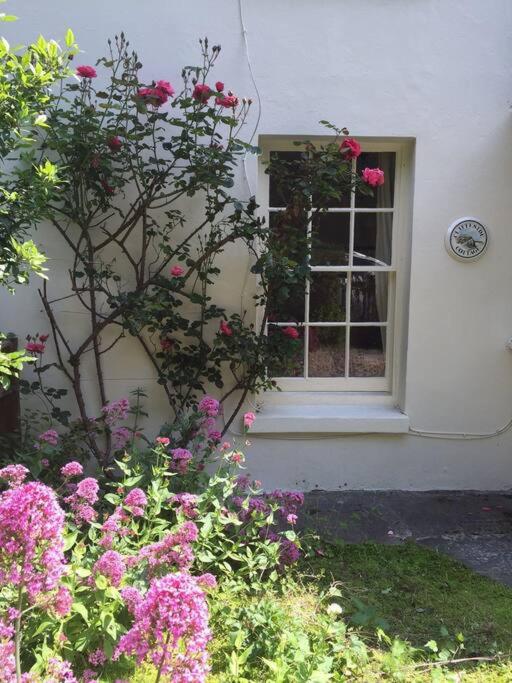 Cliffeside Cottage
