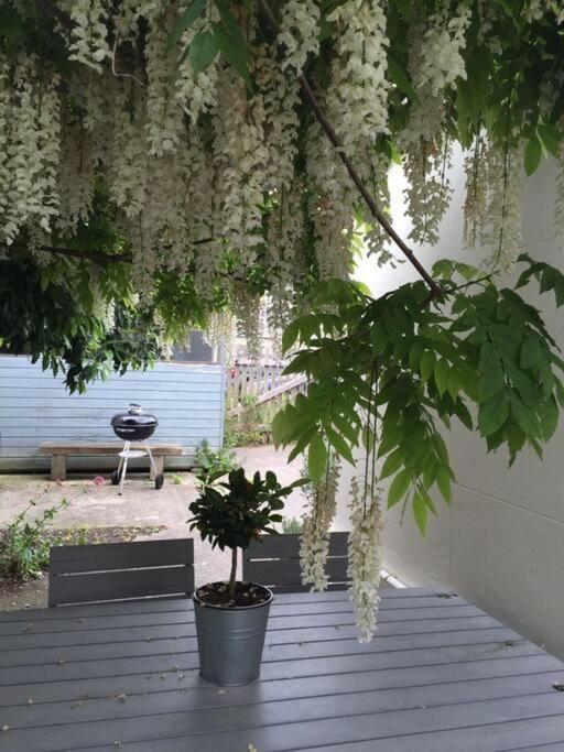 Cliffeside Cottage