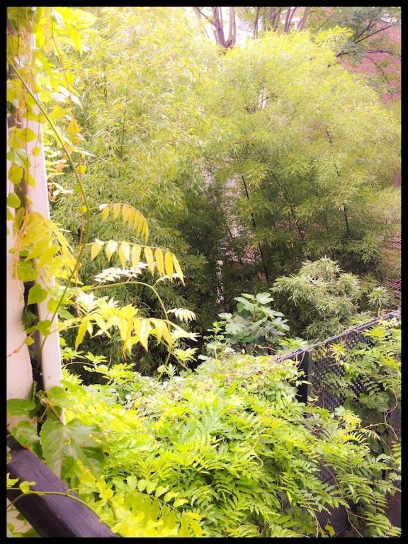 High Standing 2-Room Apartment in Latin Quarter Paris