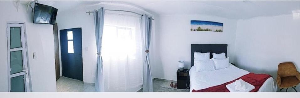 Blue Nile Guest view 5