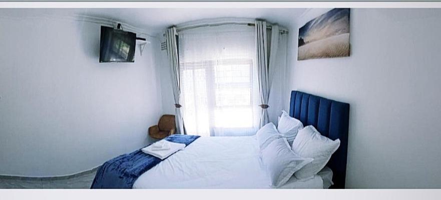 Blue Nile Guest view 3