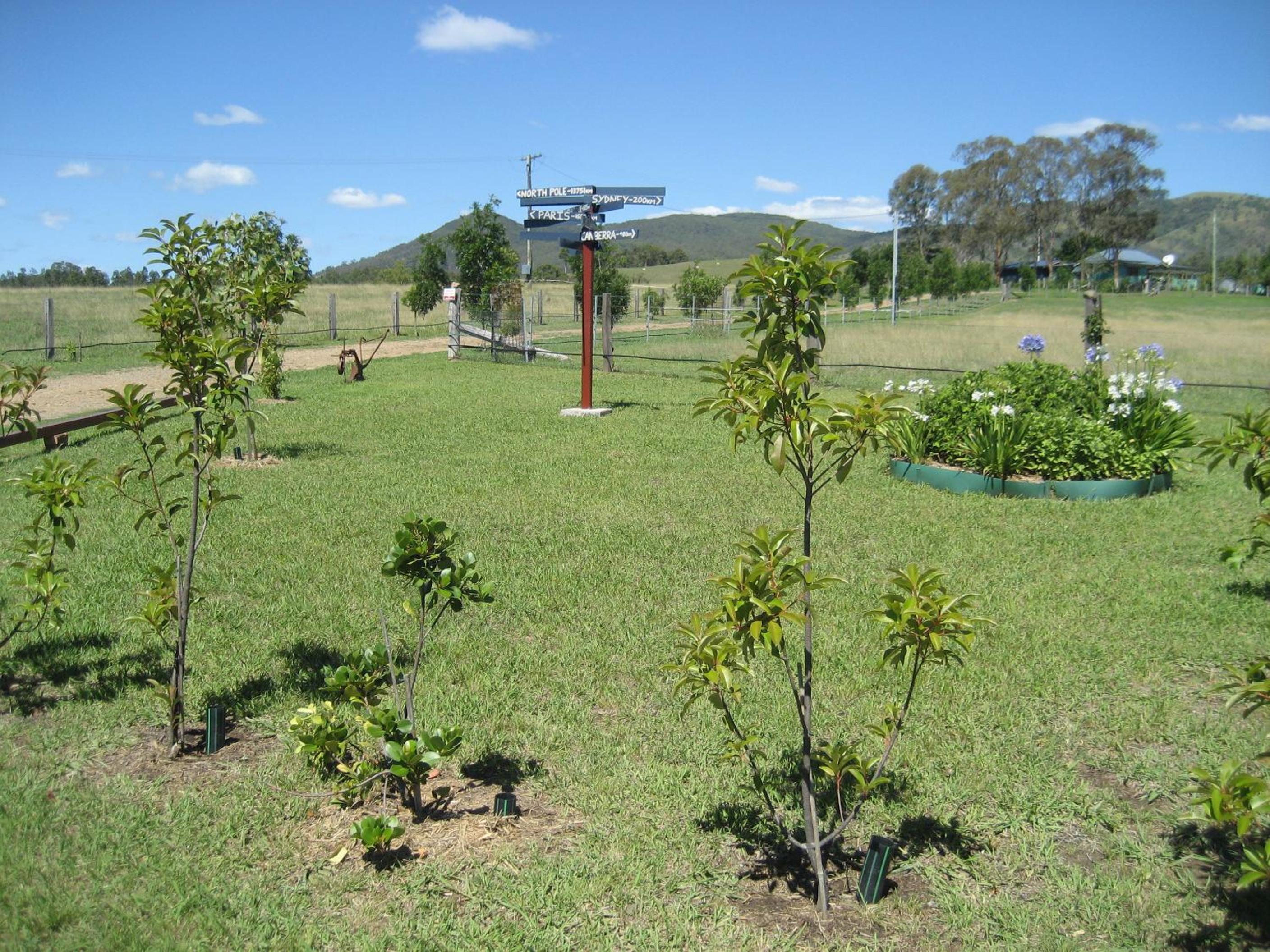 The Wattle Lodge