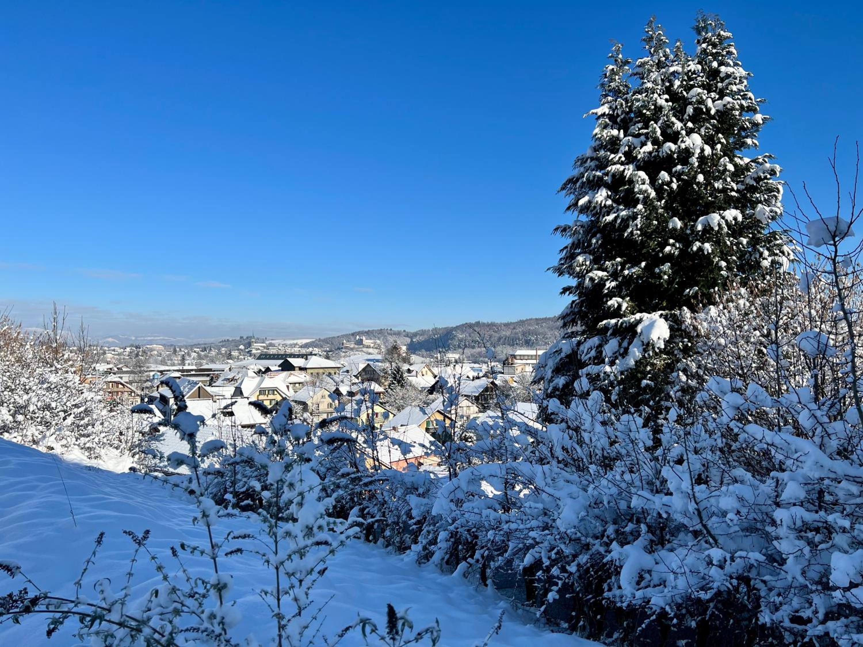 Apartment im Emmental