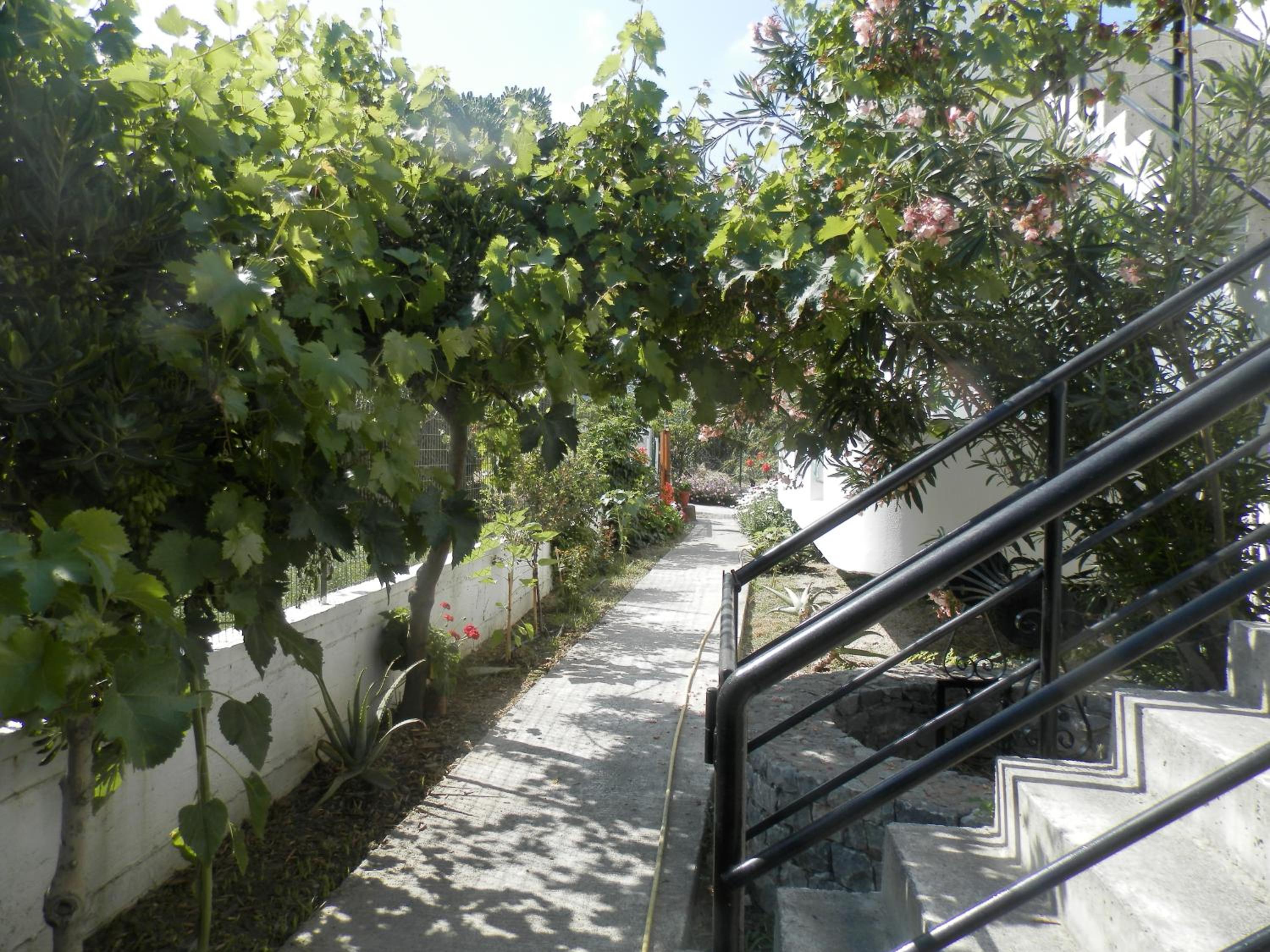 Silvi Mari Apartments