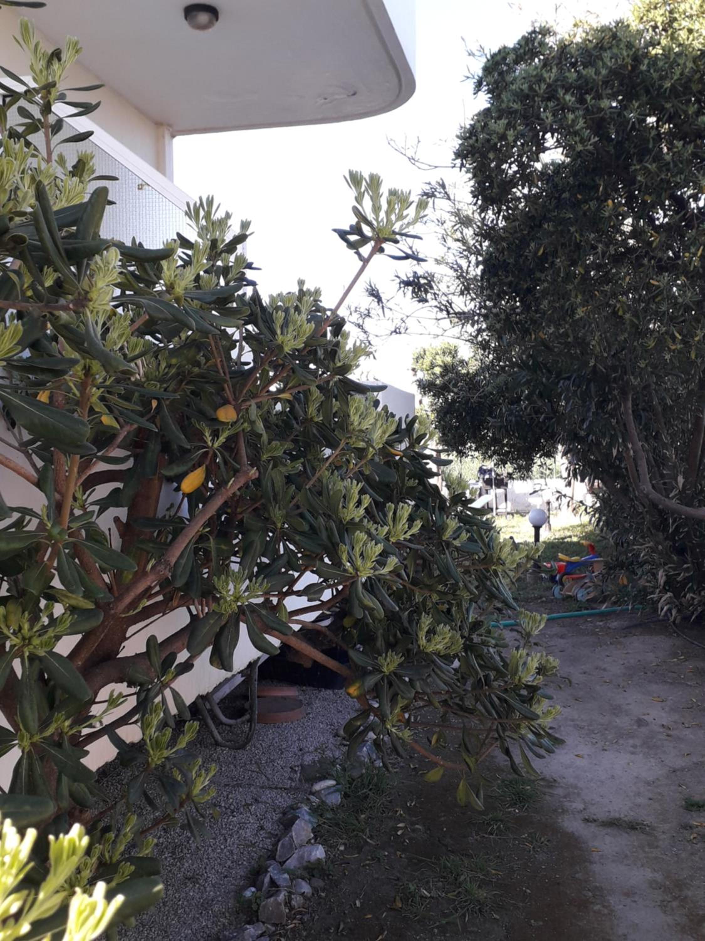 Silvi Mari Apartments