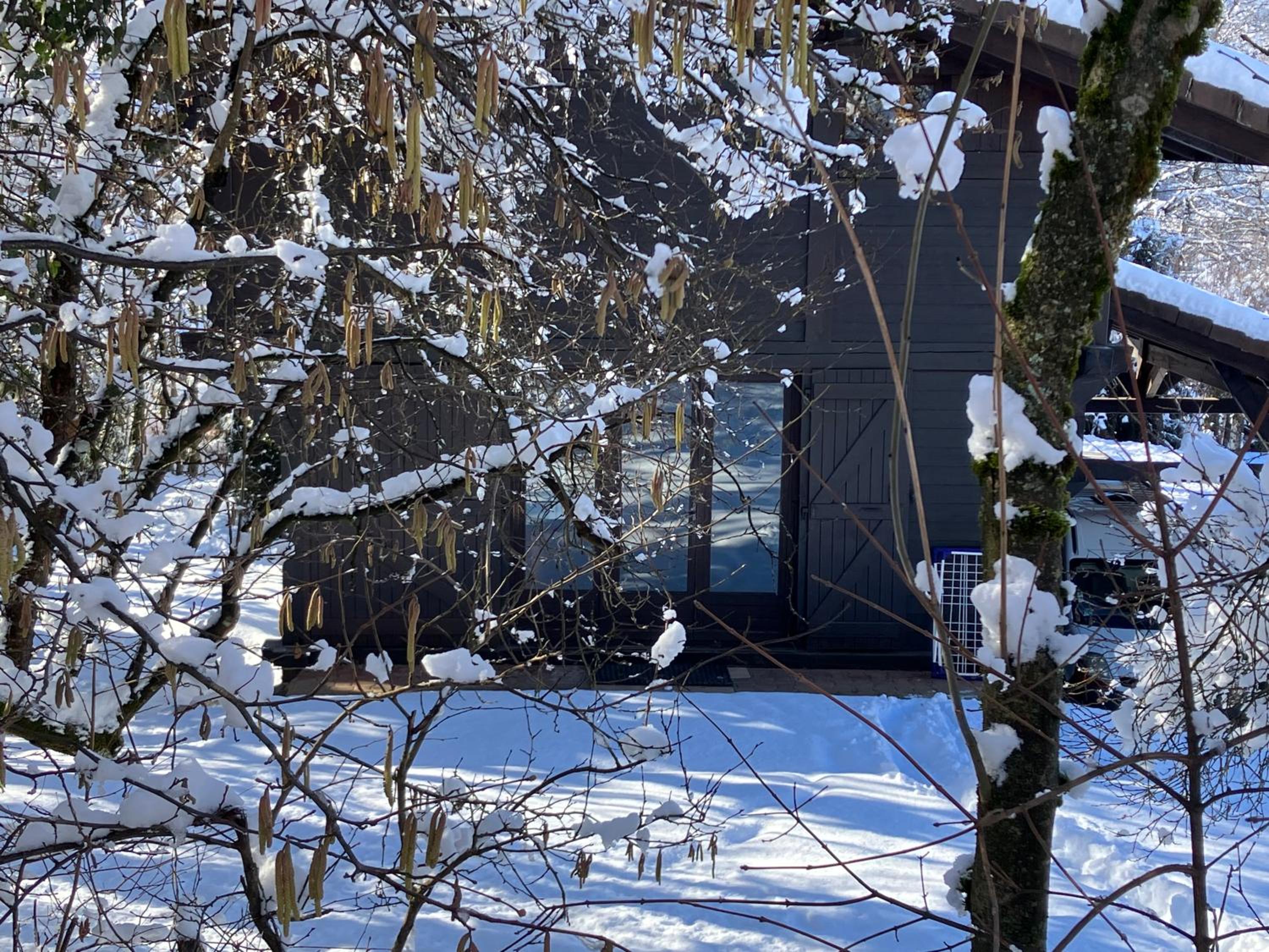 Chalet Le Grand Paddock view 2