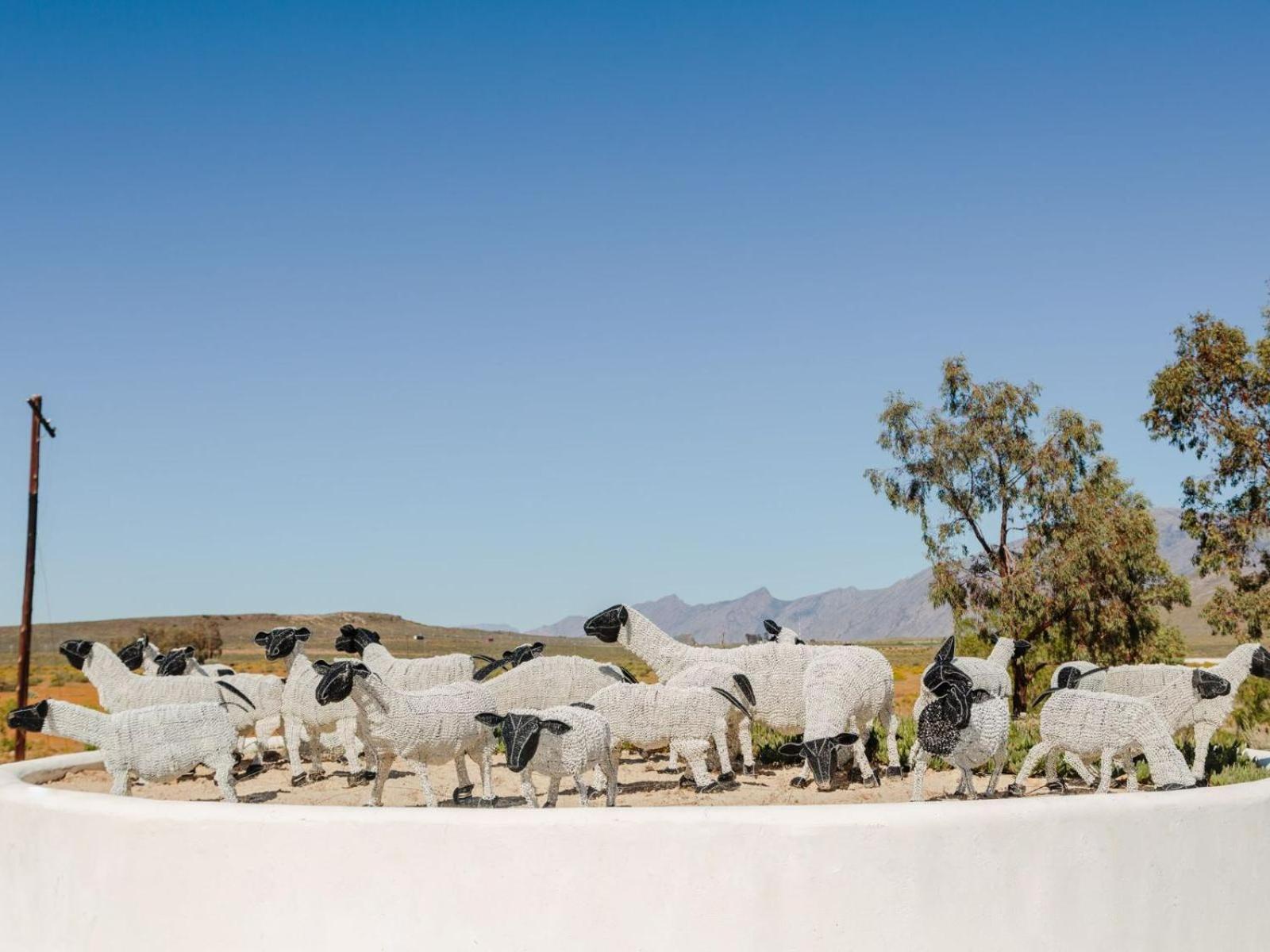 AfriCamps at Karoo 1 view 5