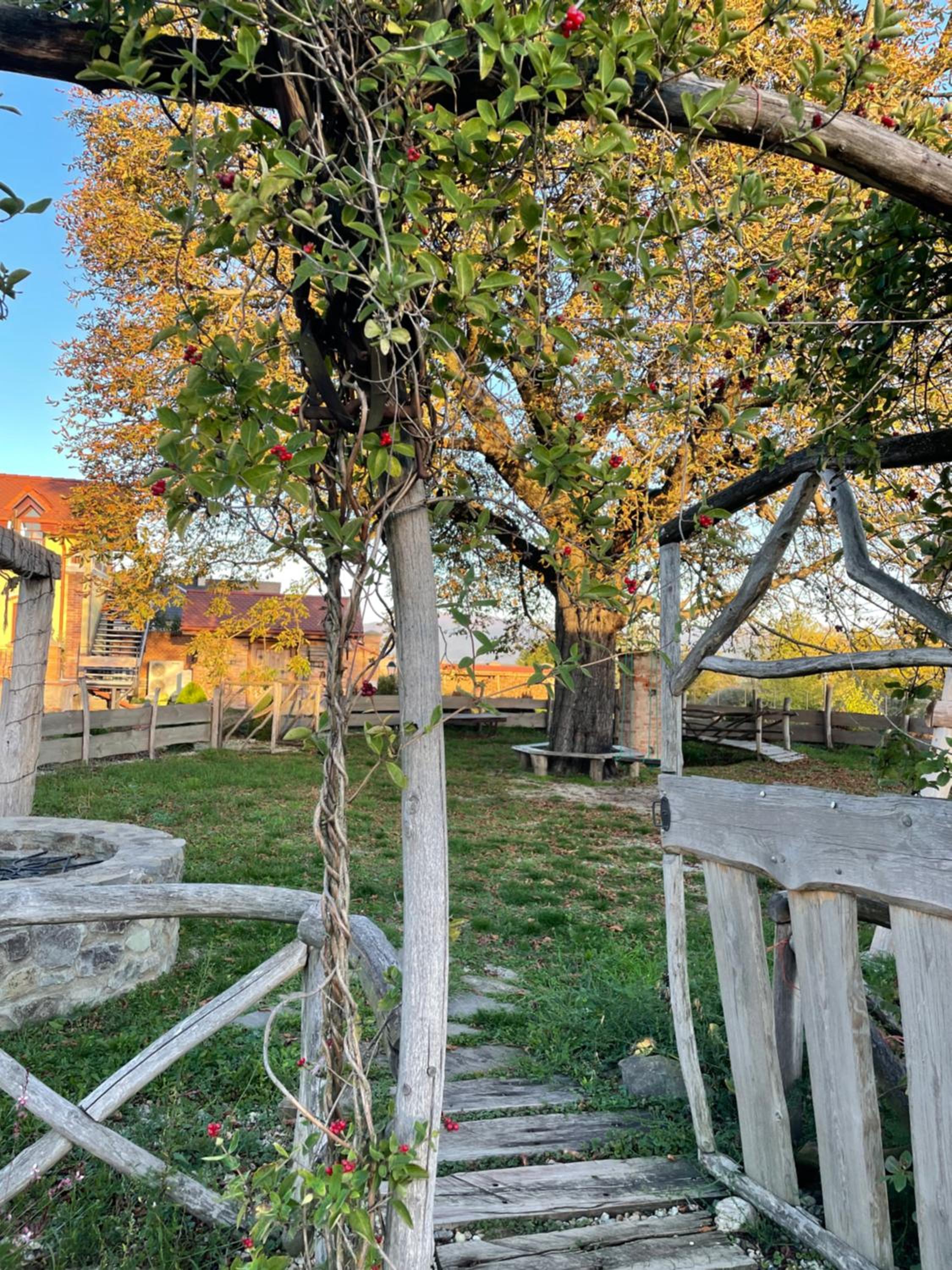 Kastély gróf Zichy view 5