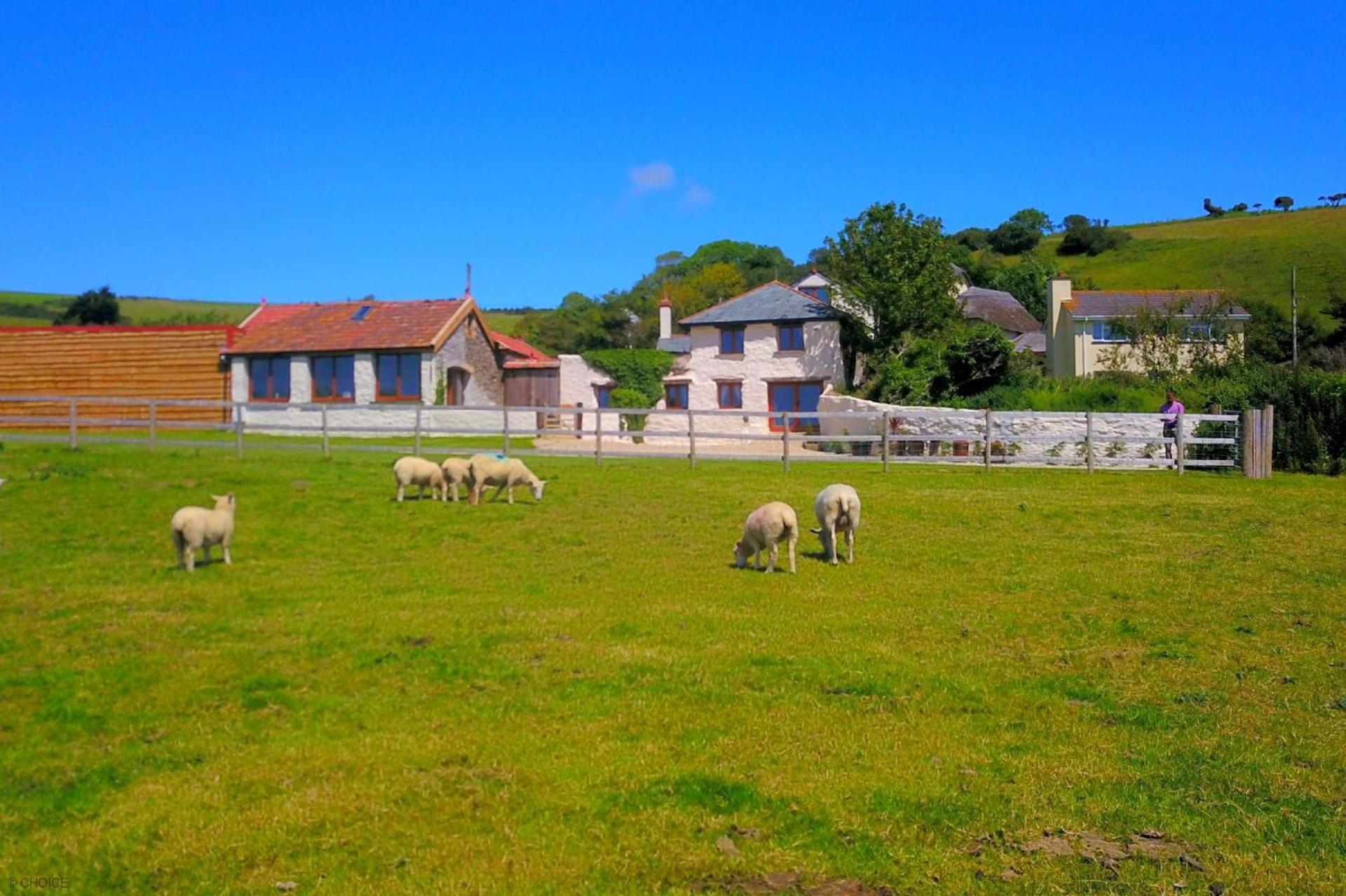 SAUNTON SUNSHINE COTTAGE 3 Bedrooms