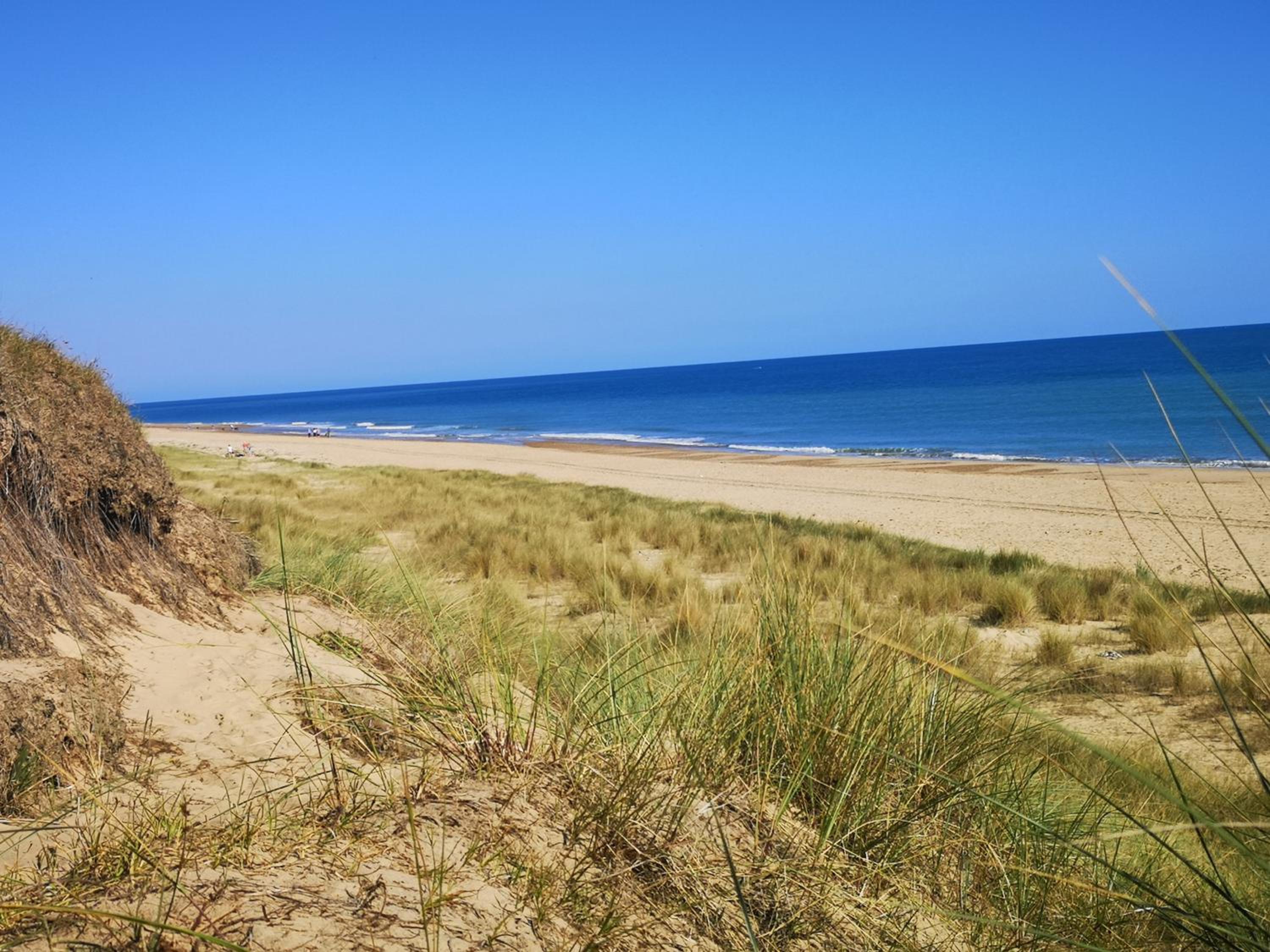 Sea View Holiday Chalet, access to sandy beach - Pets go free view 4
