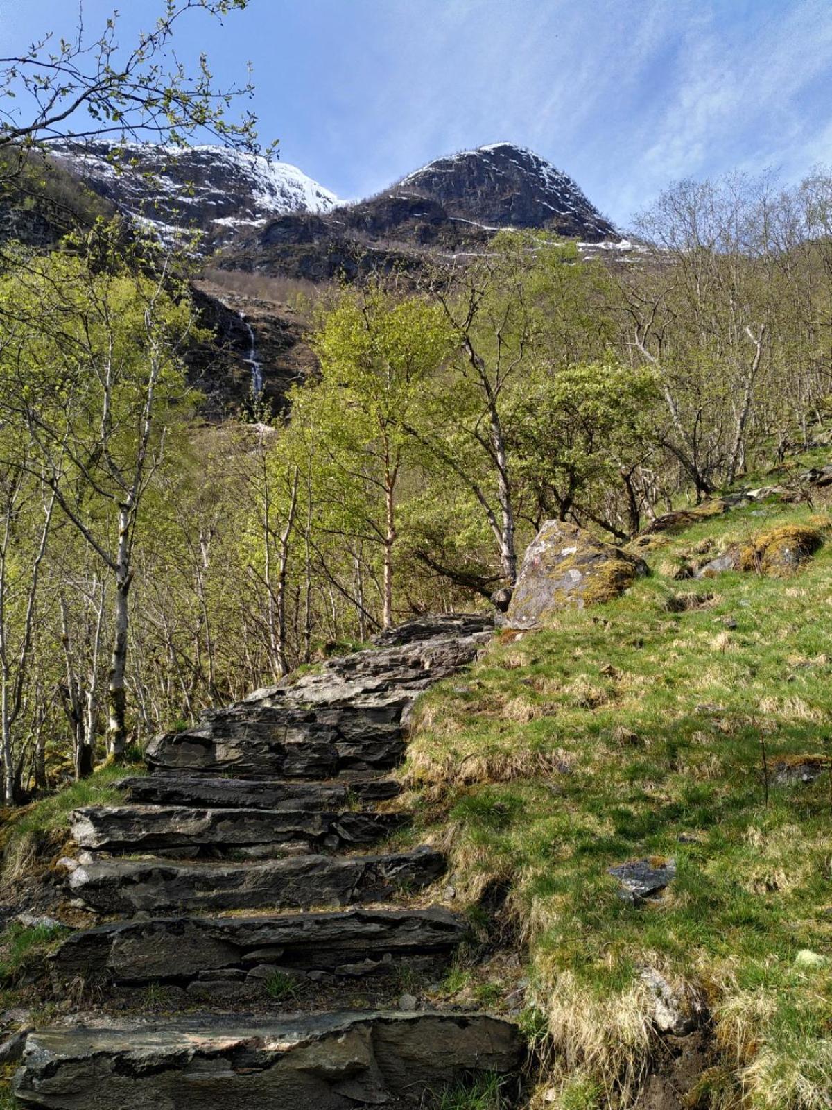 Flåm Hostel & Cabins
