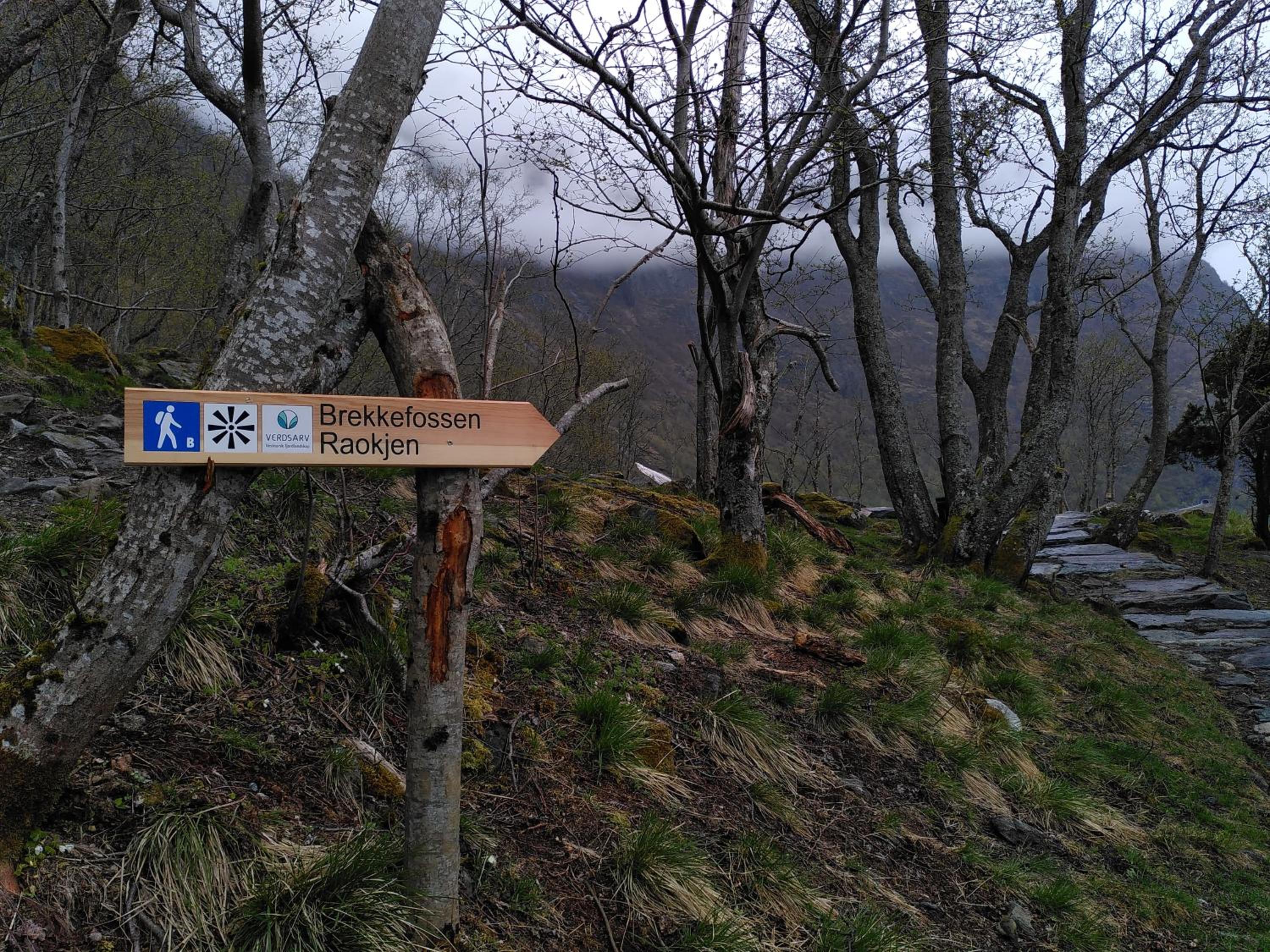 Flåm Hostel & Cabins