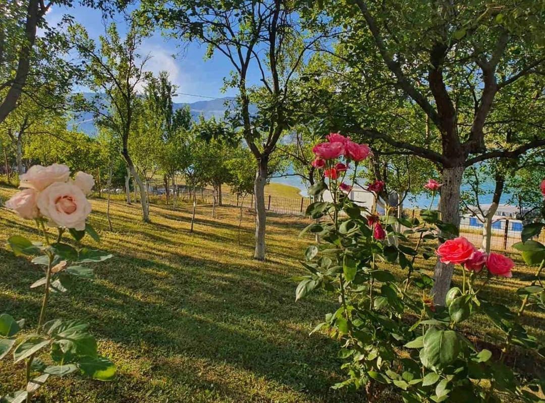 Villa Ramea