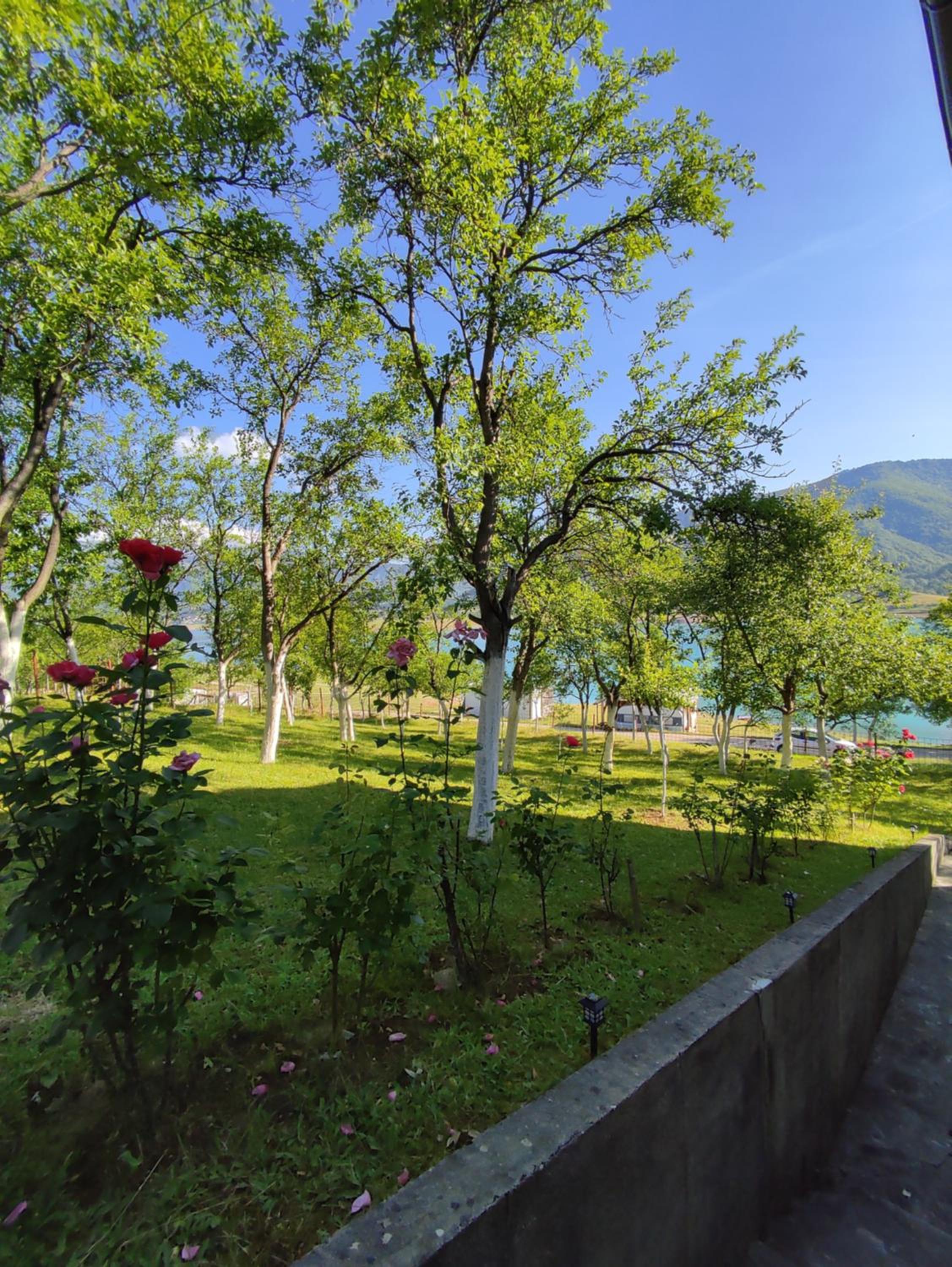 Villa Ramea