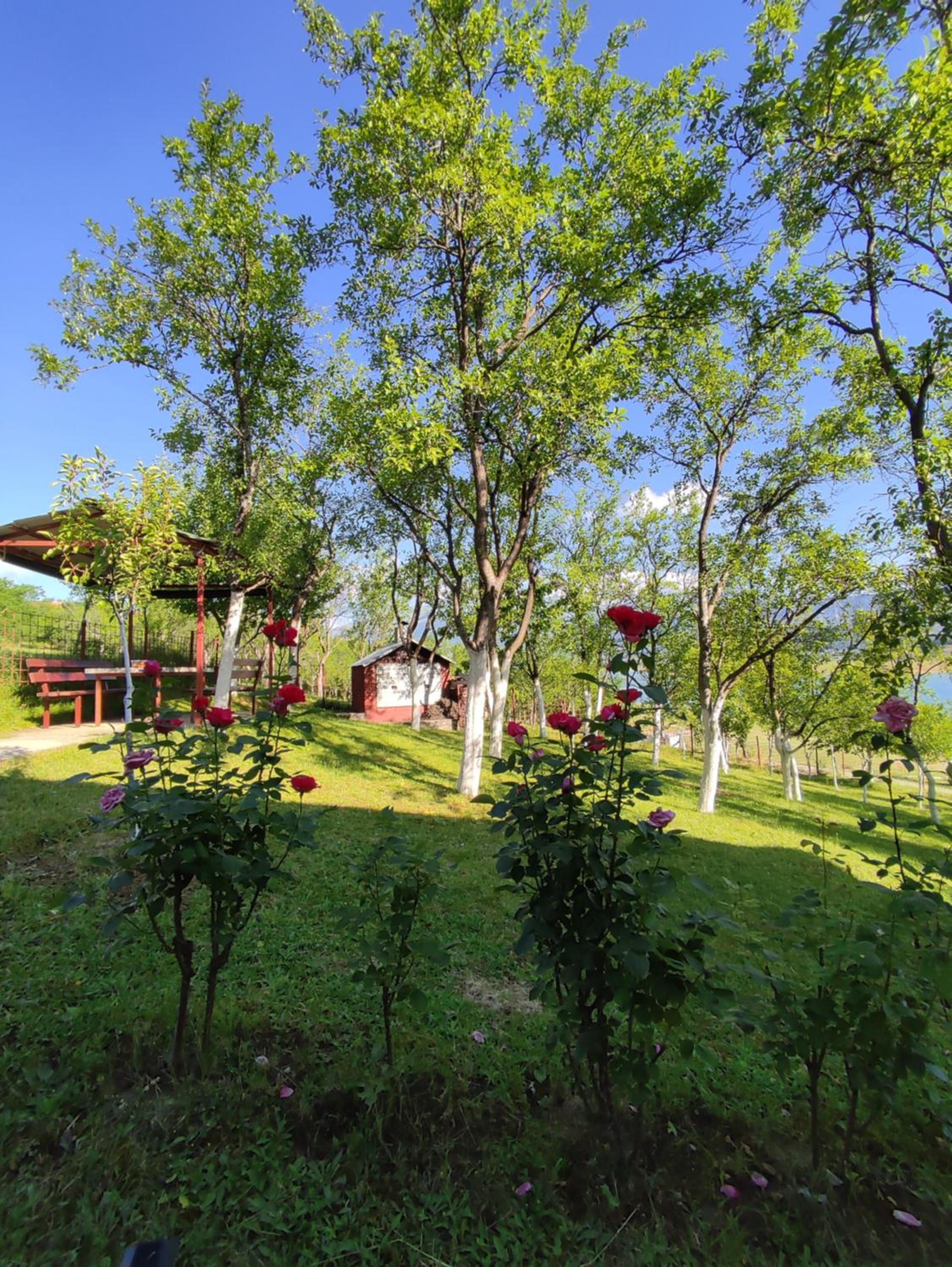 Villa Ramea