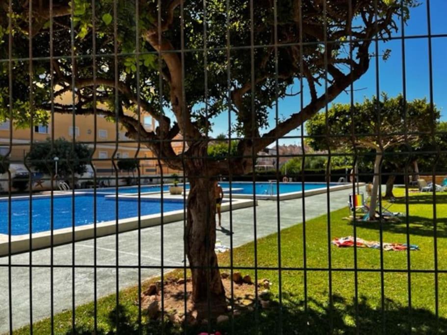Apartamento del sol
