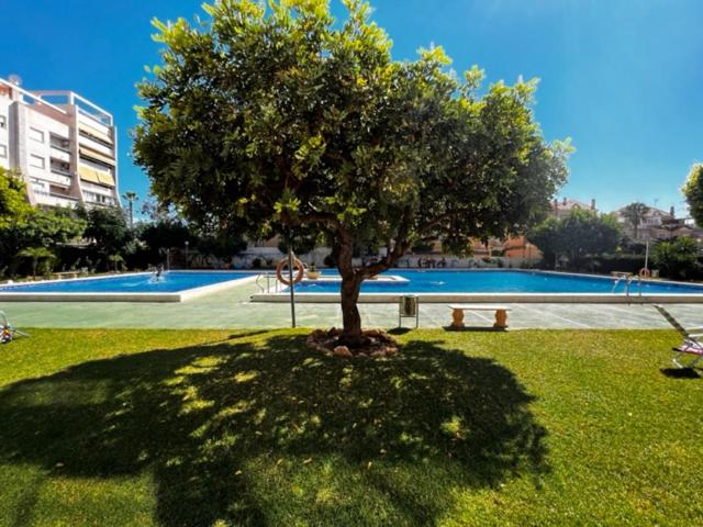 Apartamento del sol