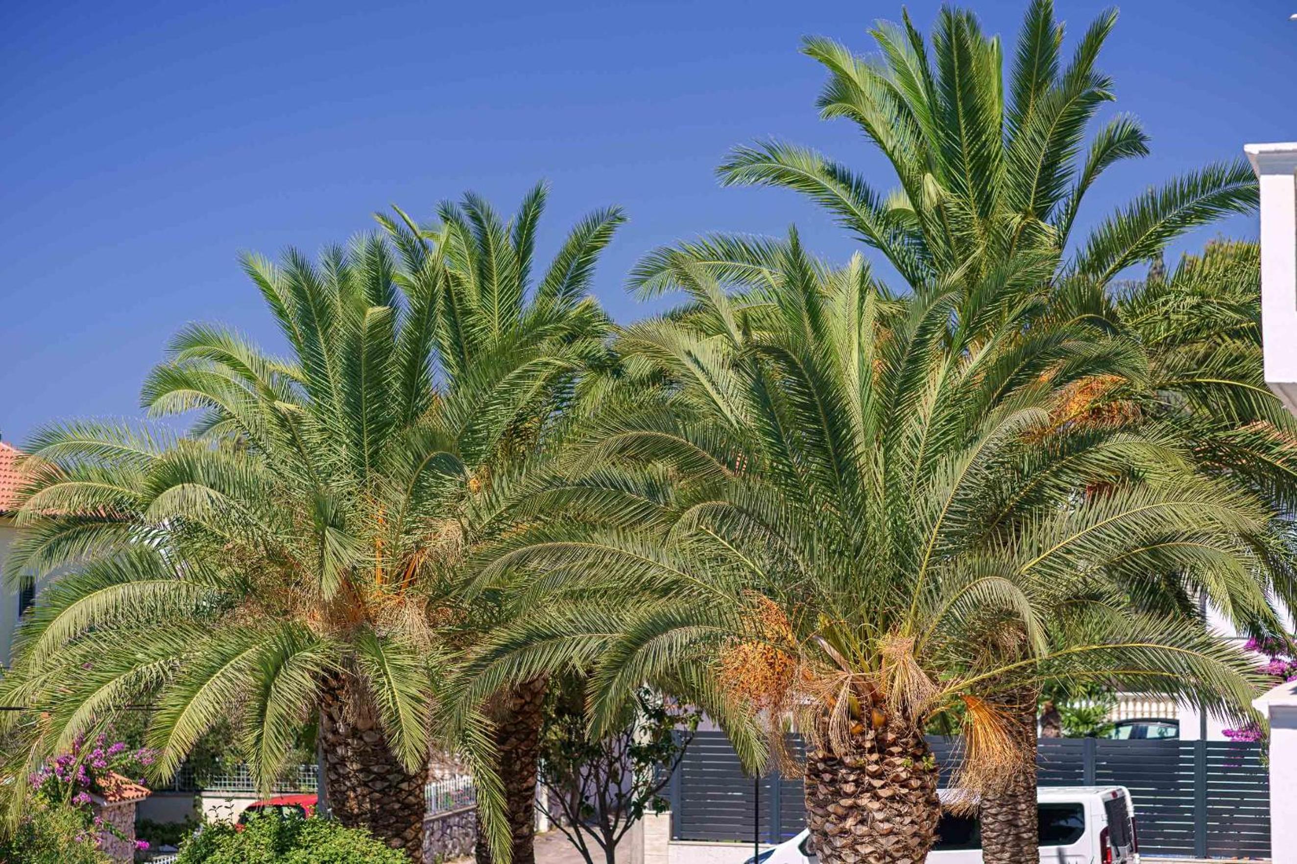 SIDRO Apartments