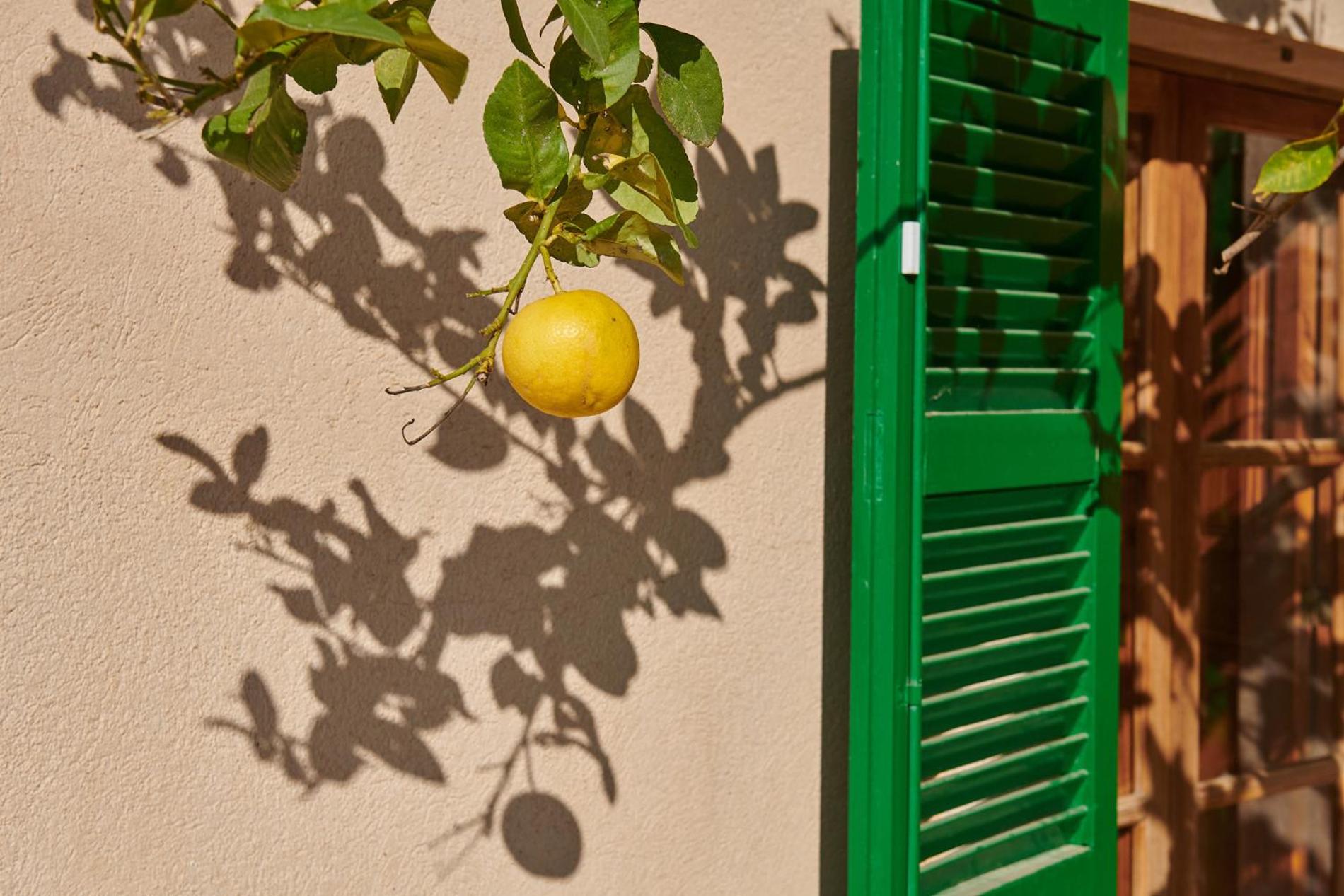 Finca Son Oliver by Mallorca House Rent