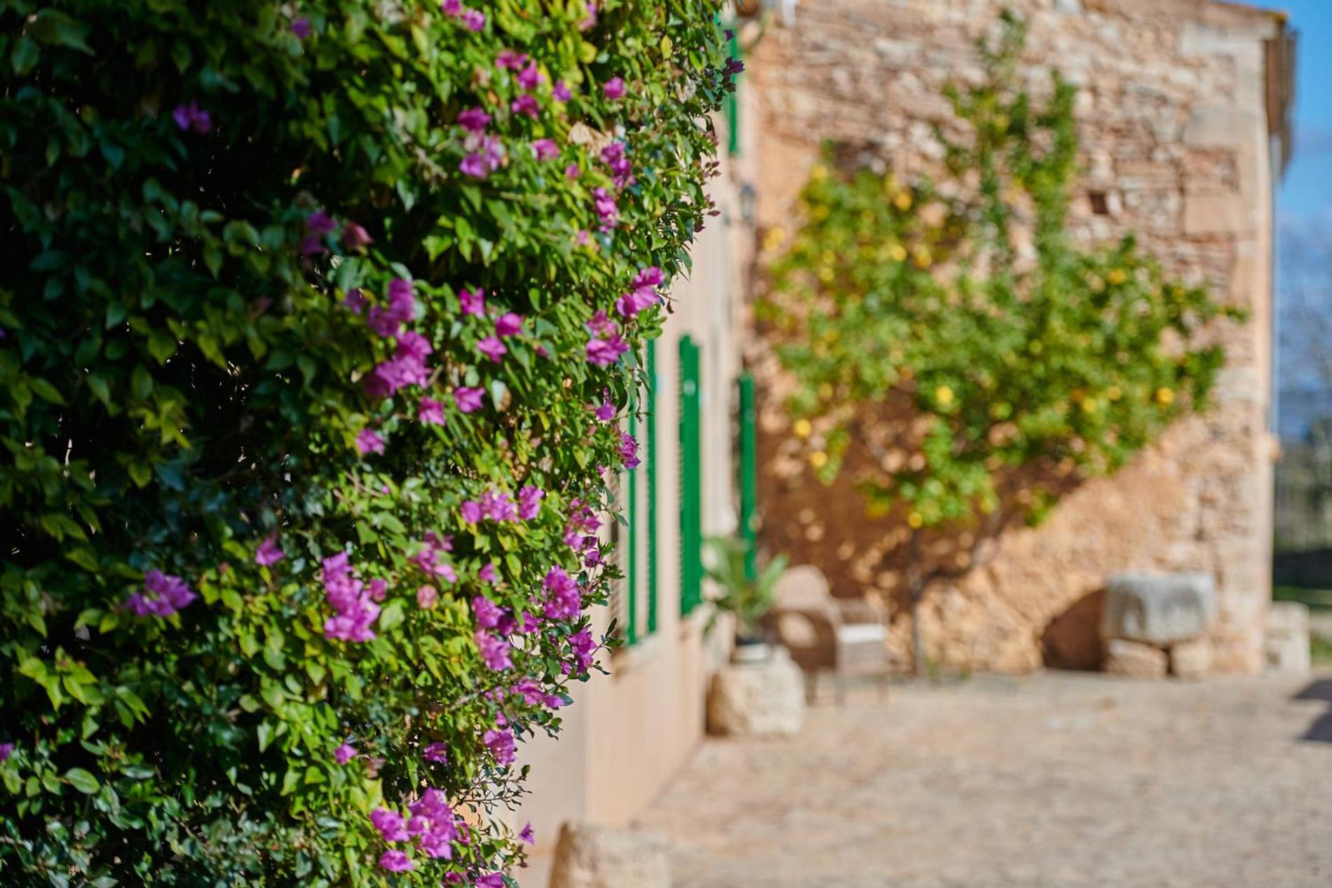 Finca Son Oliver by Mallorca House Rent