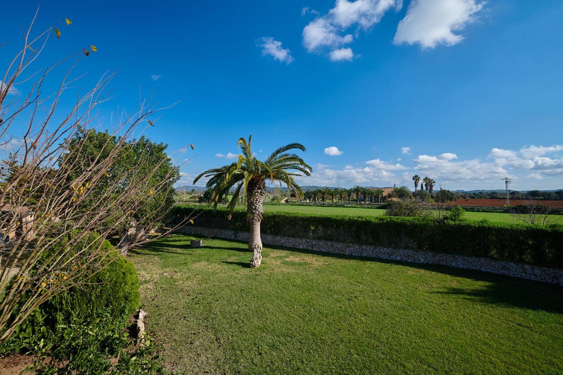 Finca Son Oliver by Mallorca House Rent