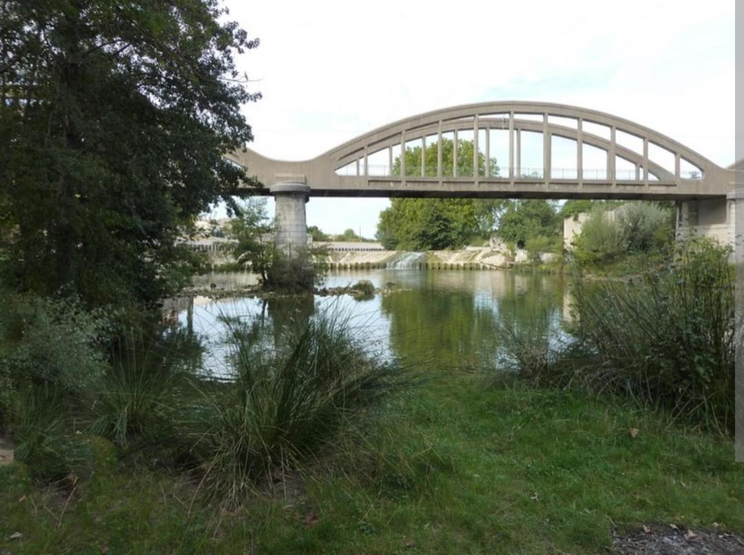 Photo 24