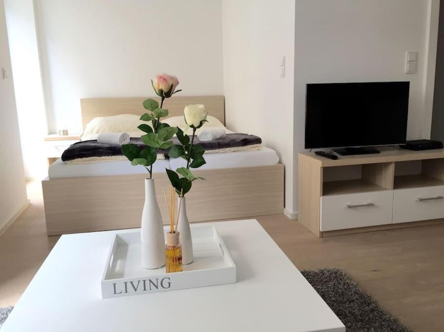 NEW Apartment - 10 min DOWNTOWN