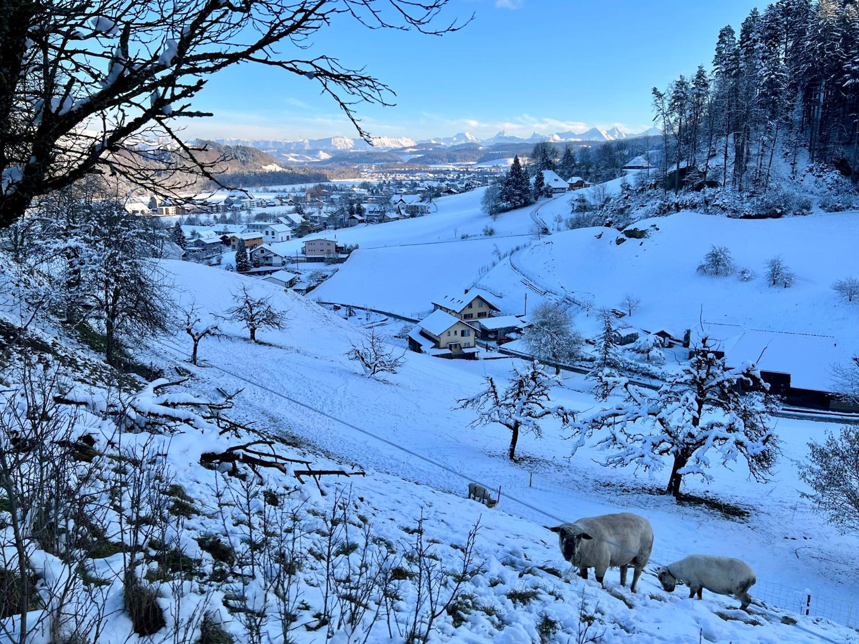 Apartment im Emmental