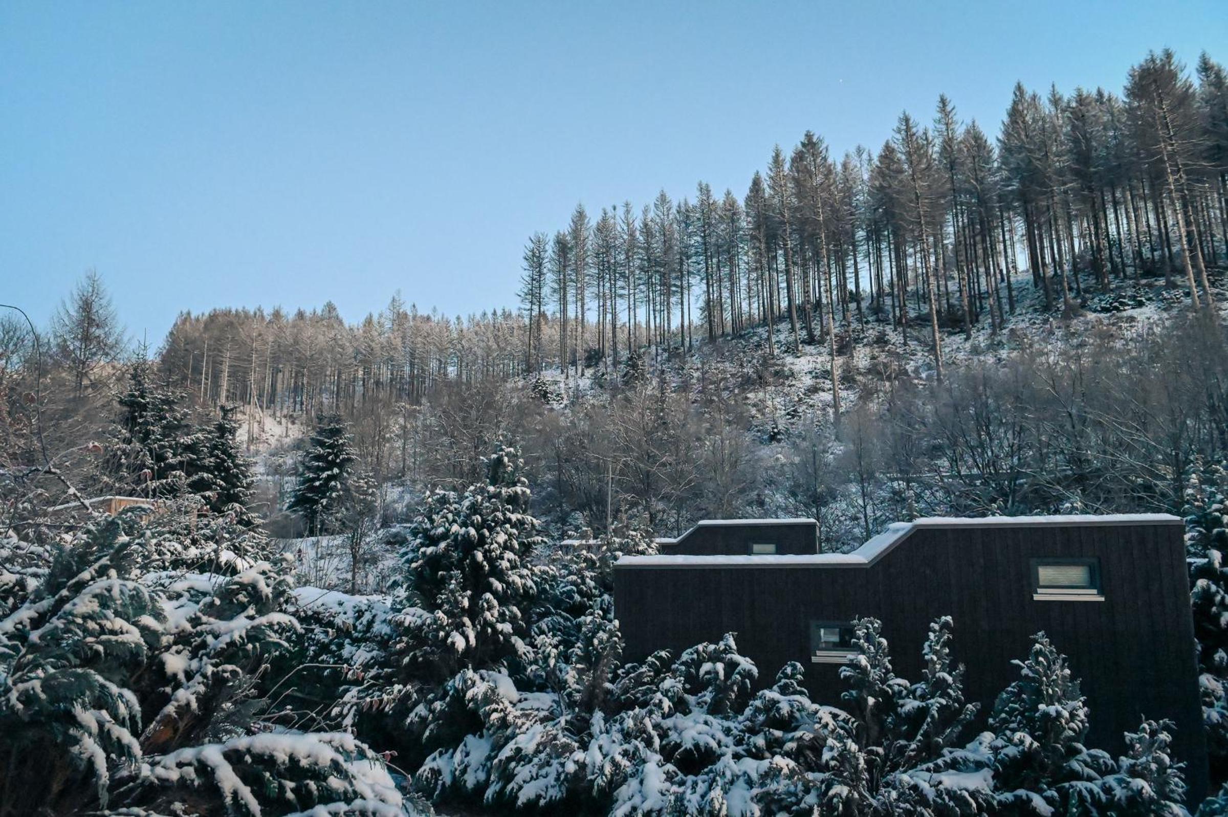 Tiny House Nature 16 - Green Tiny Village Harz