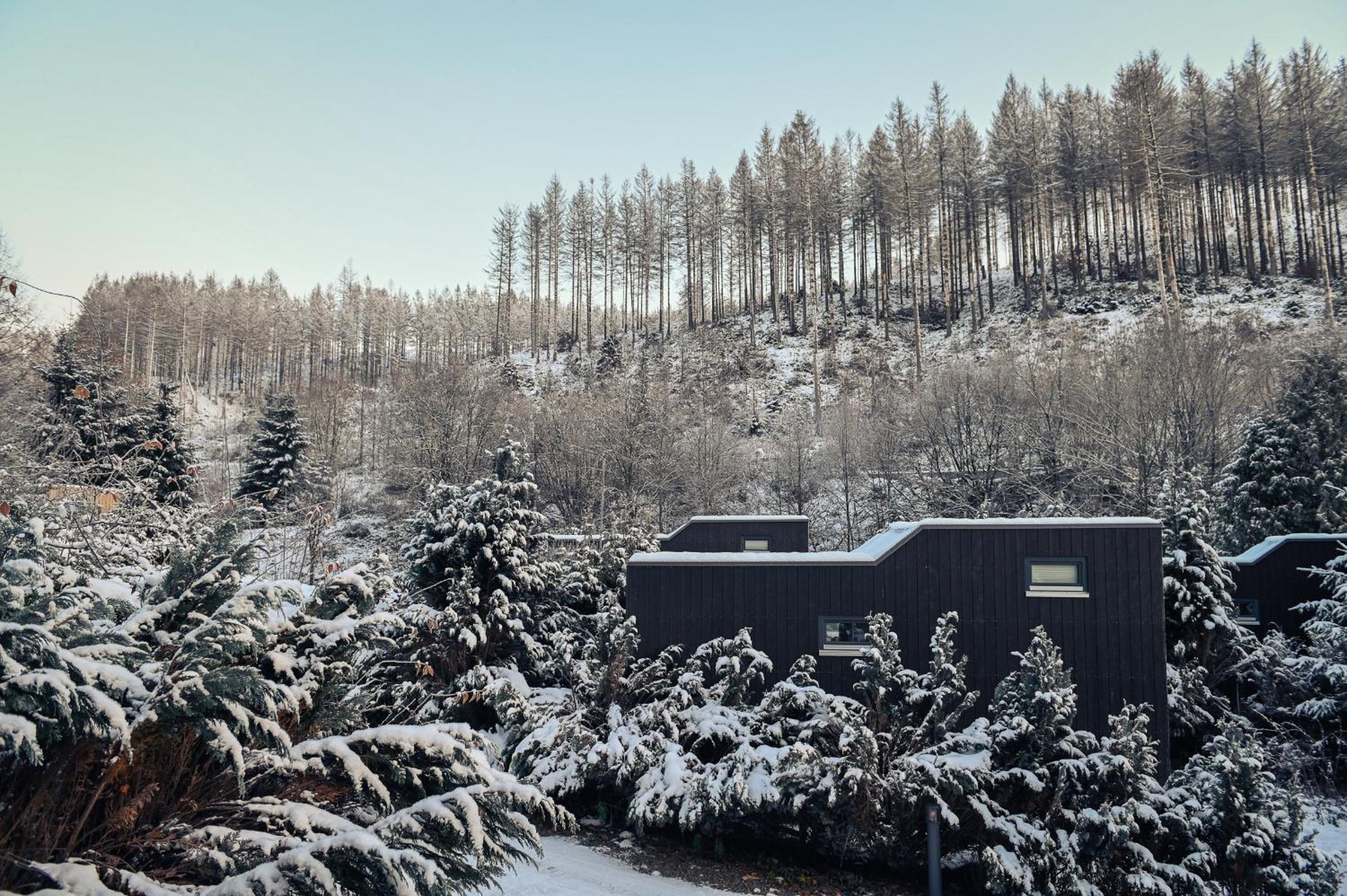 Tiny House Nature 12 - Green Tiny Village Harz