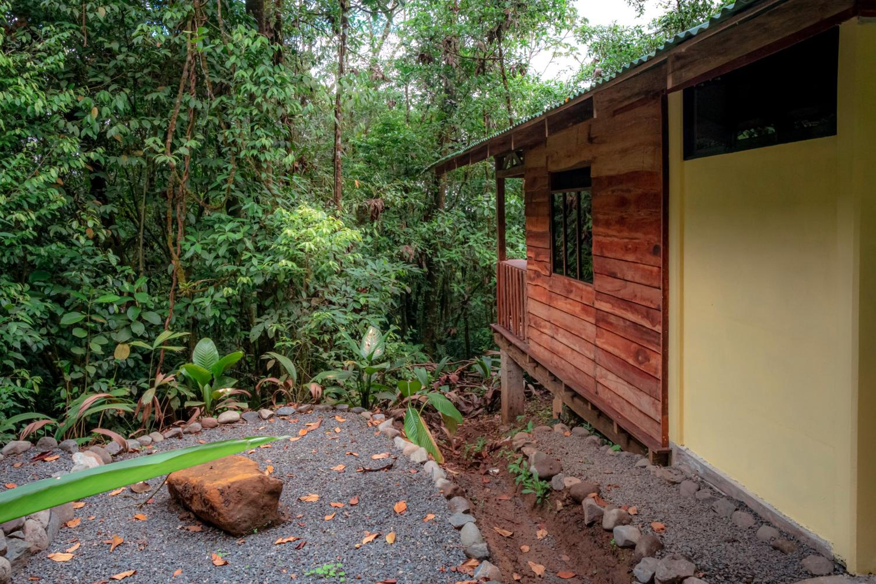 La Tigra Rainforest Lodge