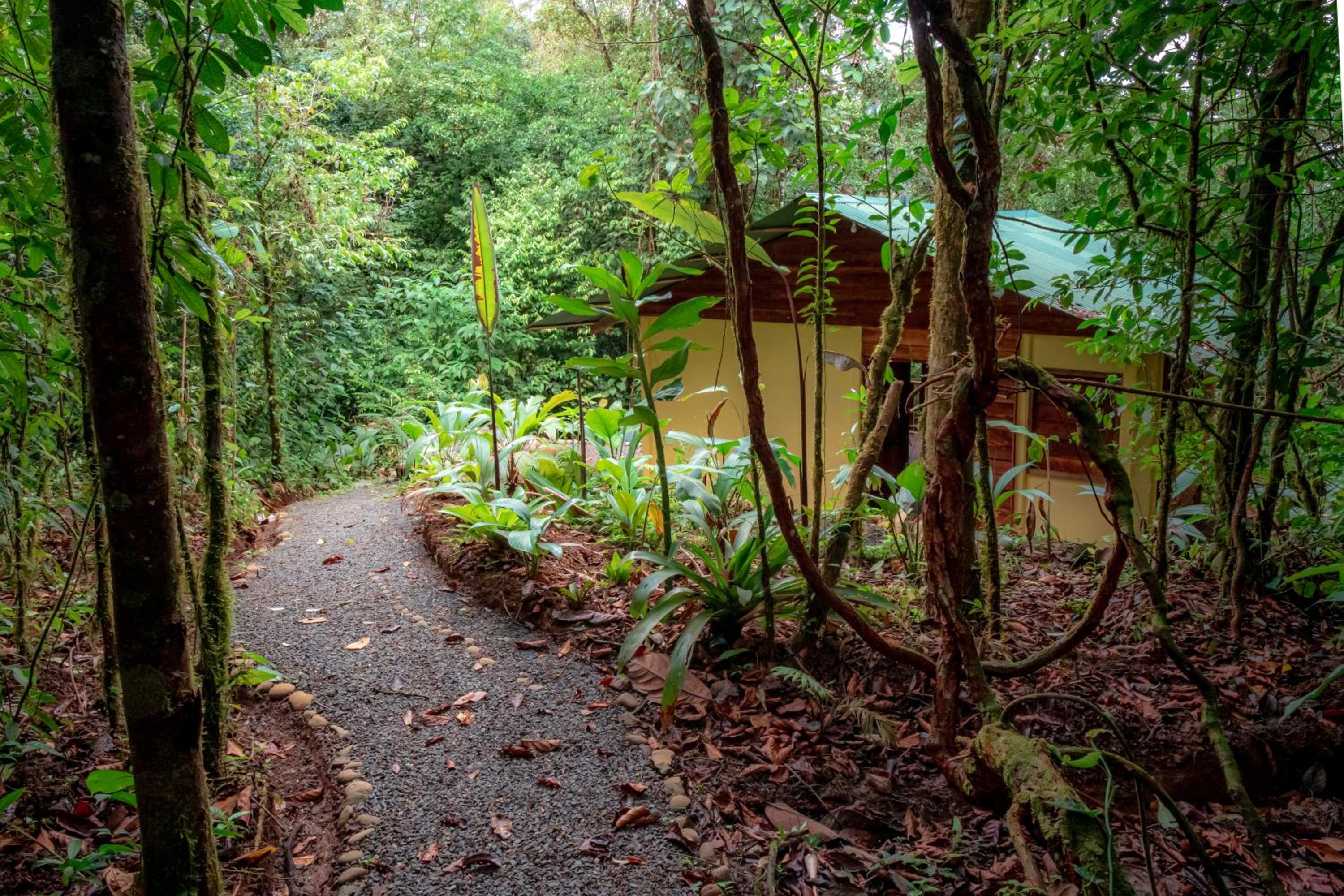 La Tigra Rainforest Lodge