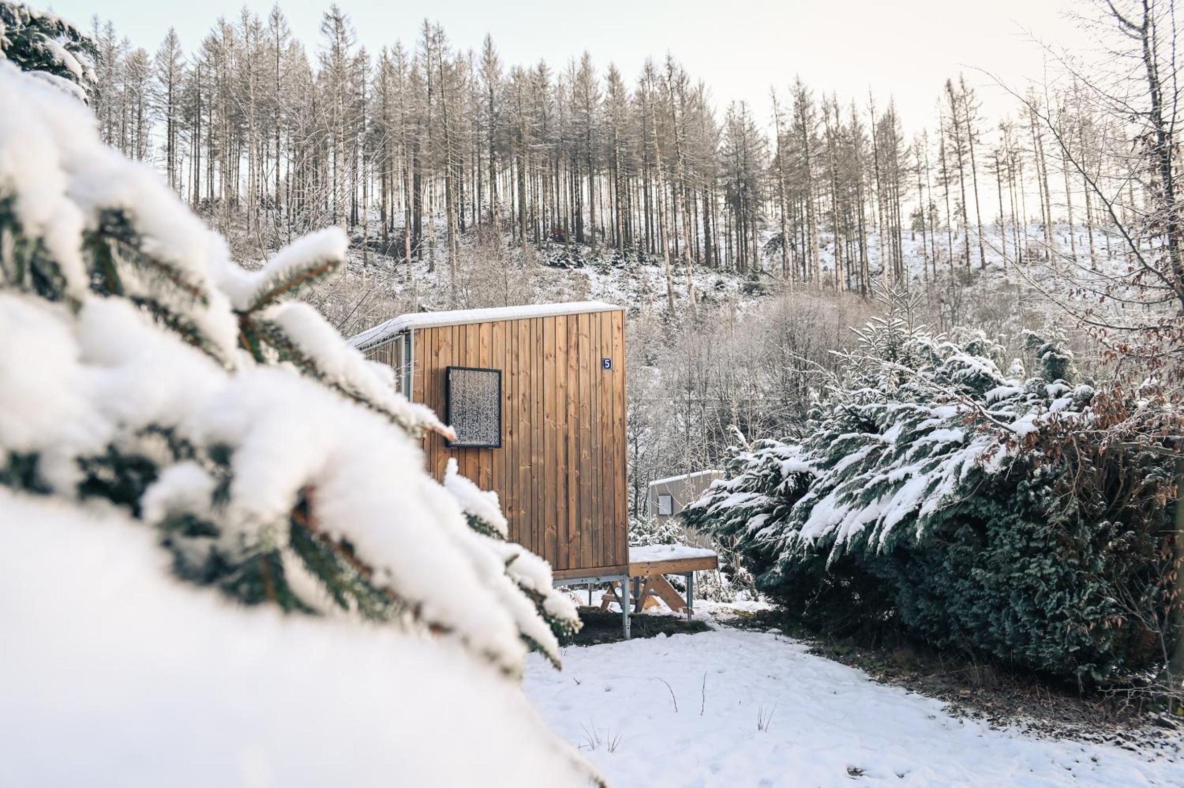 Sleep Space 25 - Green Tiny Village Harz