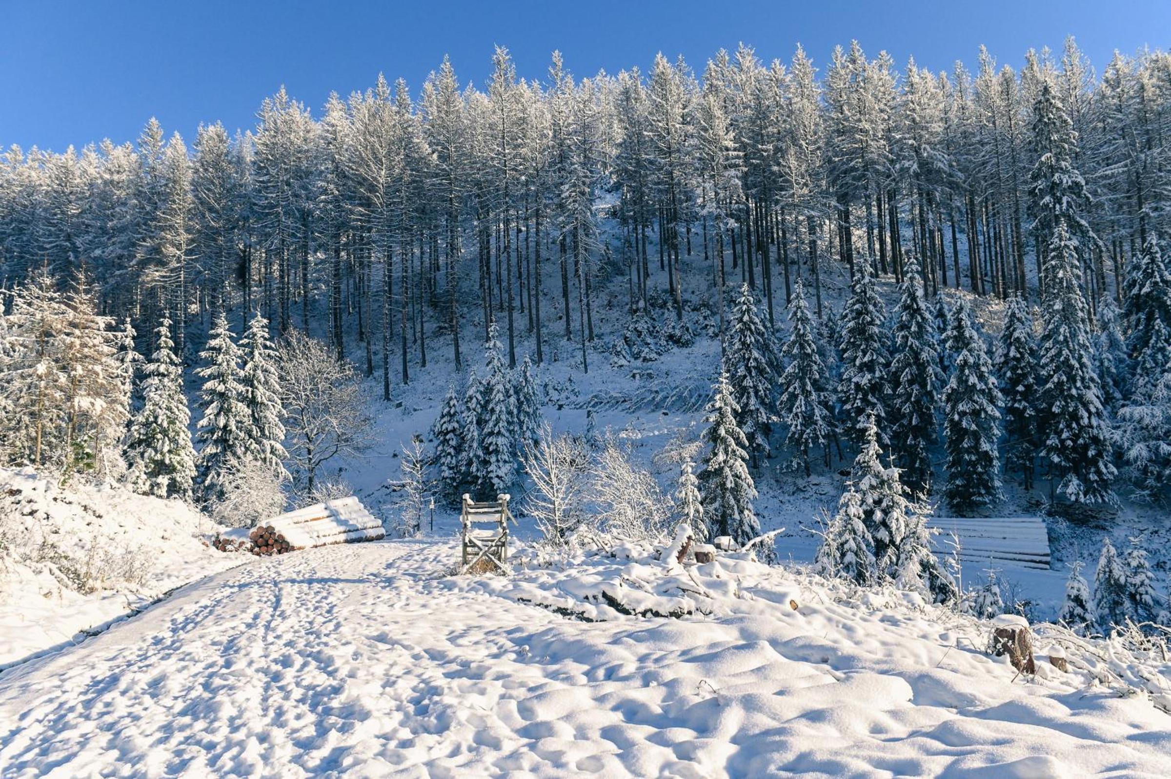 Sleep Space 26 - Green Tiny Village Harz