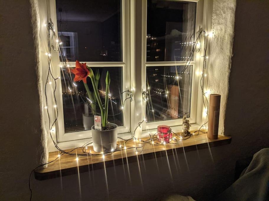 Beautiful and cosy house near the lake