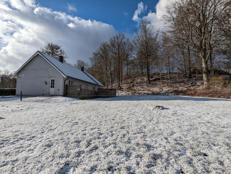 Beautiful and cosy house near the lake